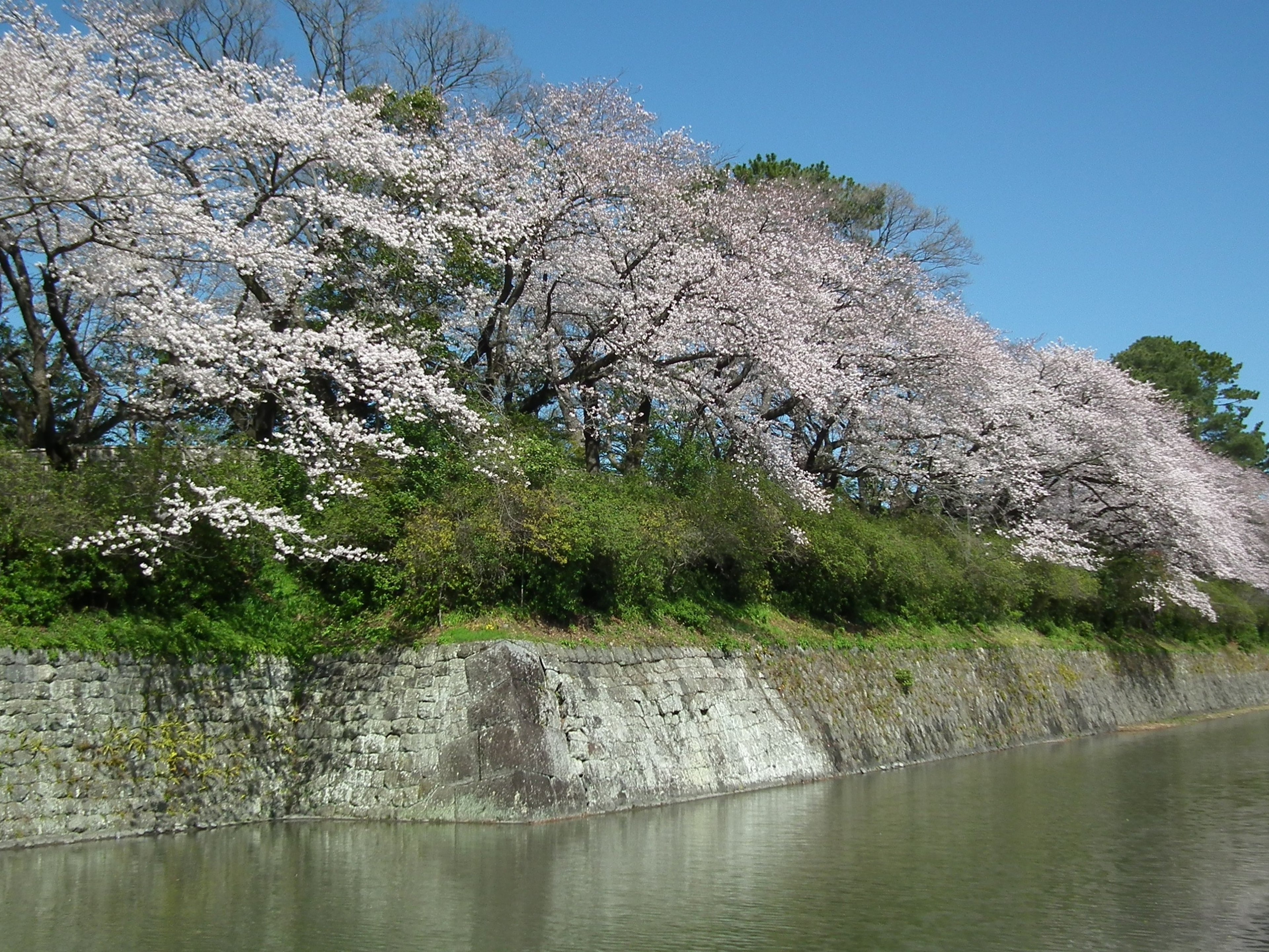 ホテルグランヒルズ静岡のイメージ