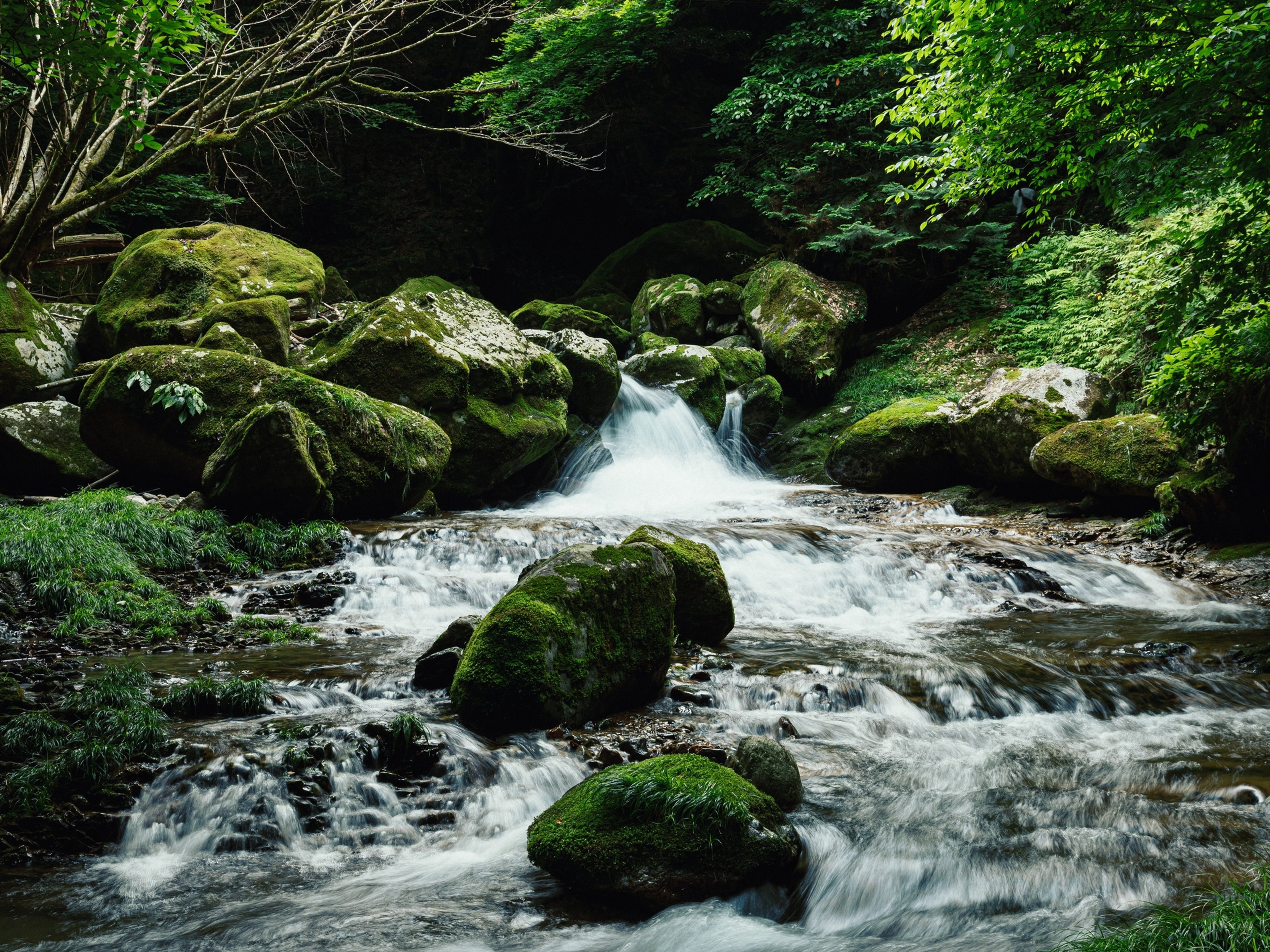 フェアフィールド･バイ･マリオット･岐阜美濃のイメージ