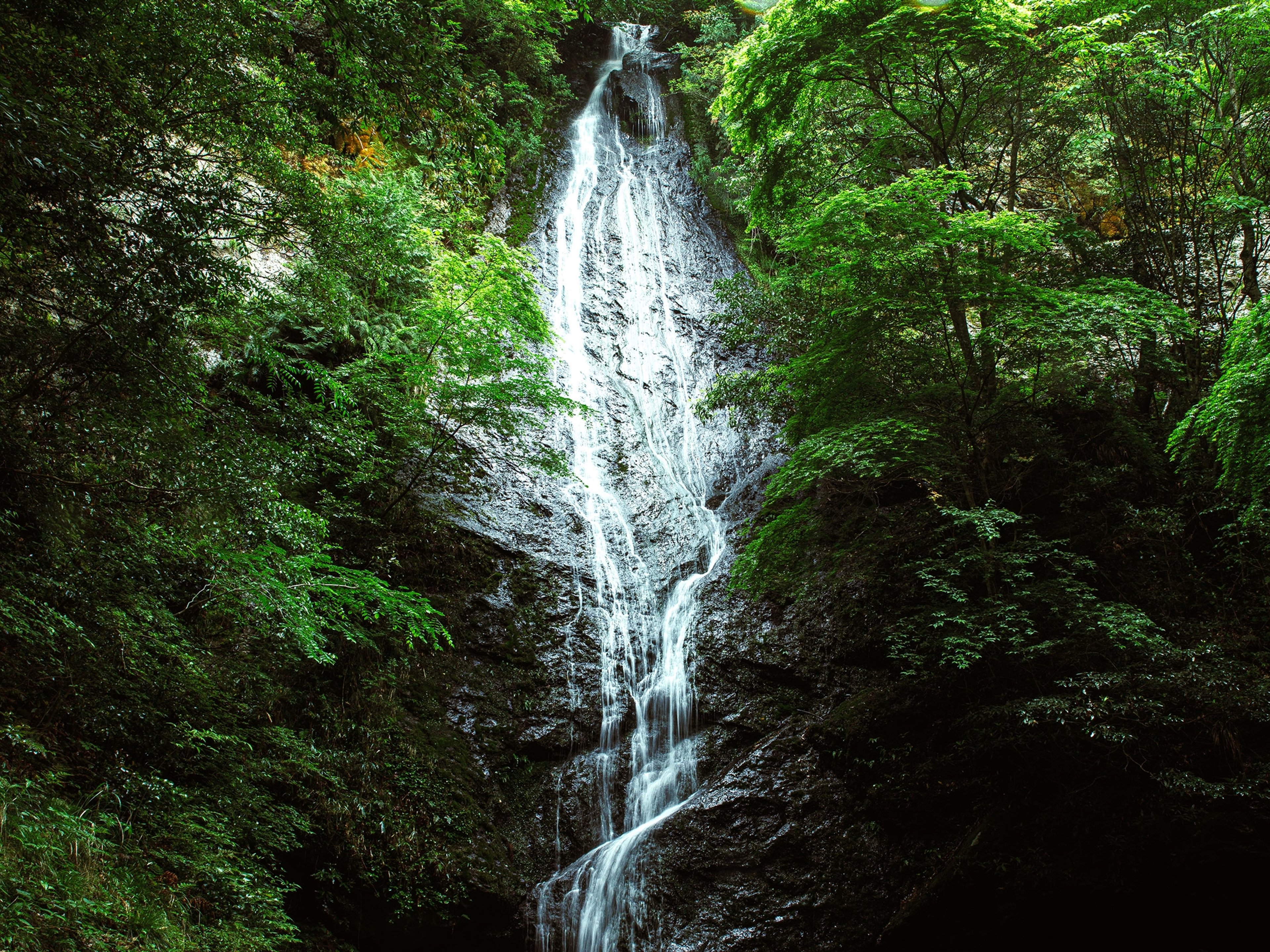 フェアフィールド･バイ･マリオット･京都京丹波のイメージ