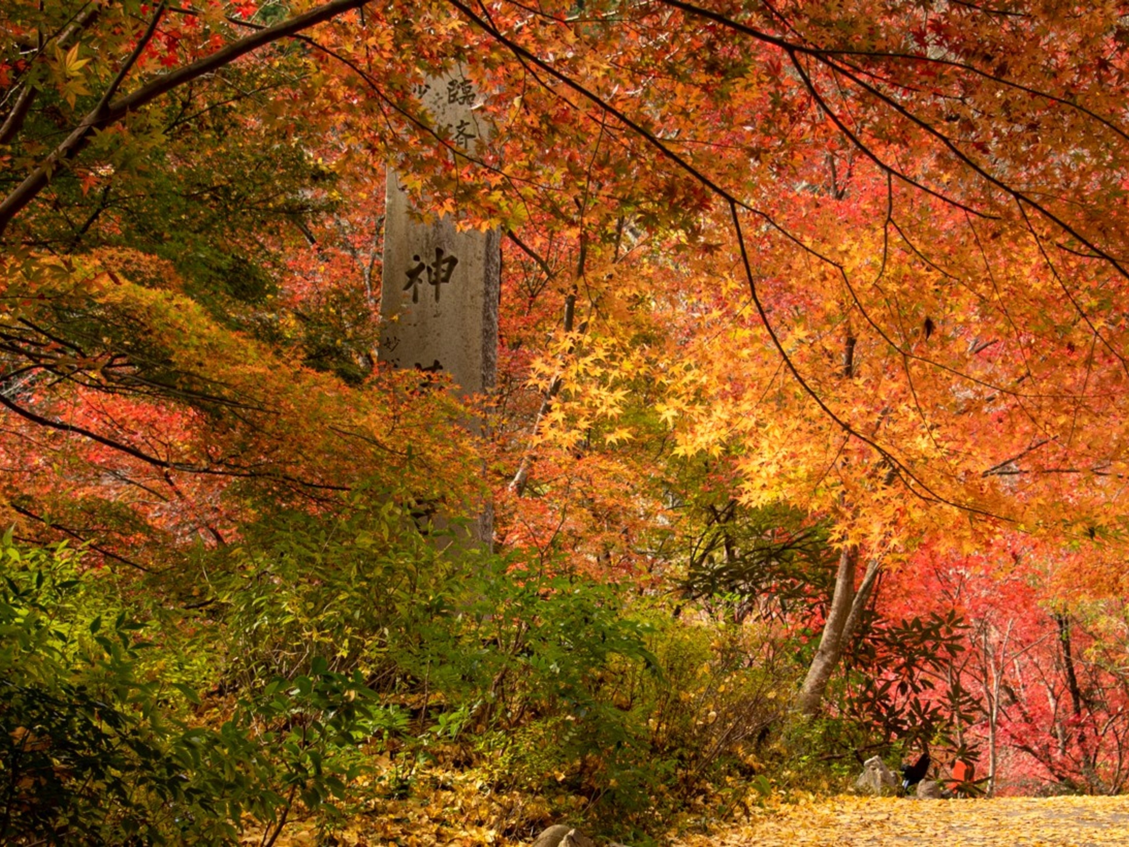 フェアフィールド･バイ･マリオット･京都京丹波のイメージ