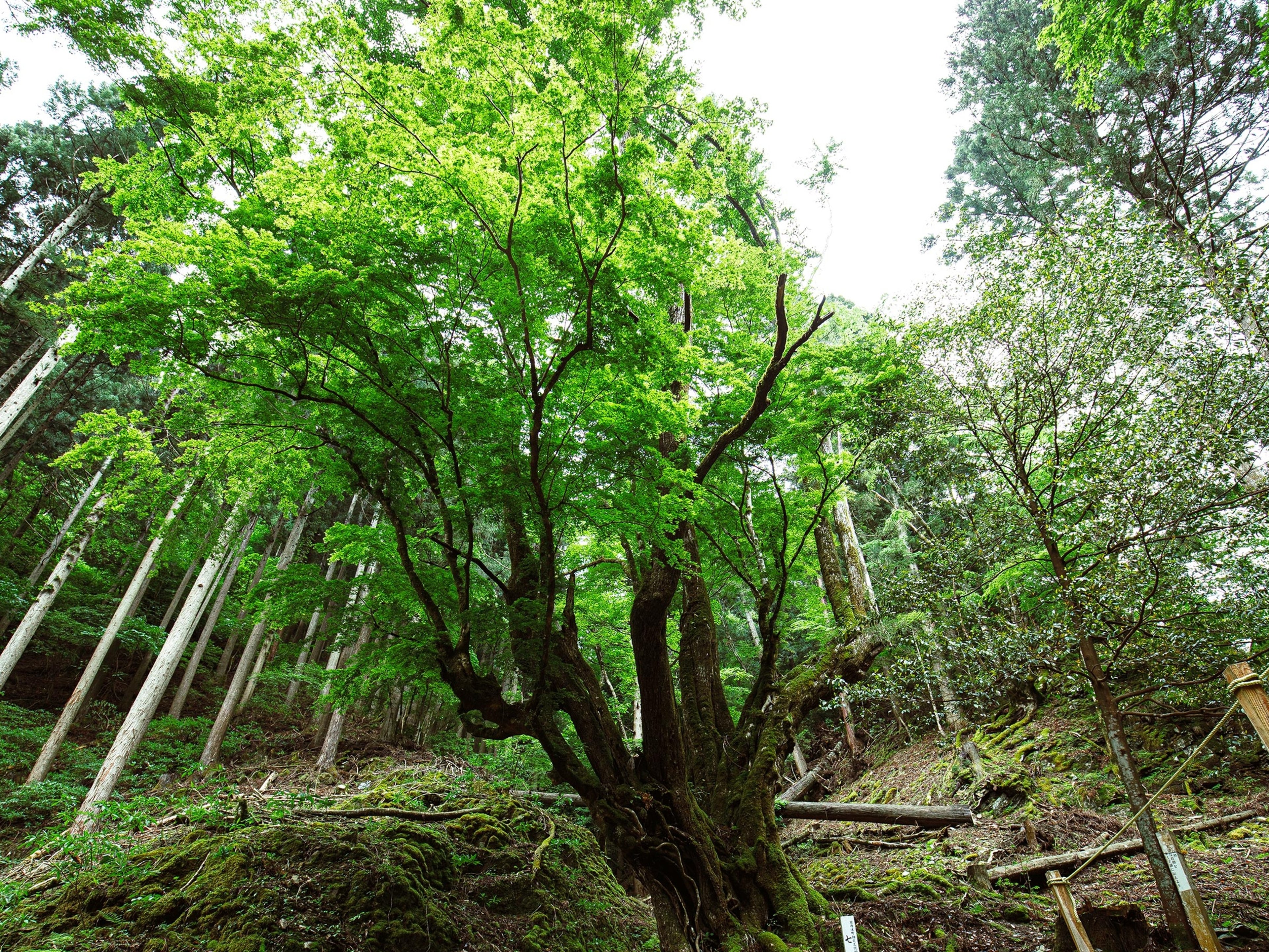 フェアフィールド･バイ･マリオット･京都京丹波のイメージ
