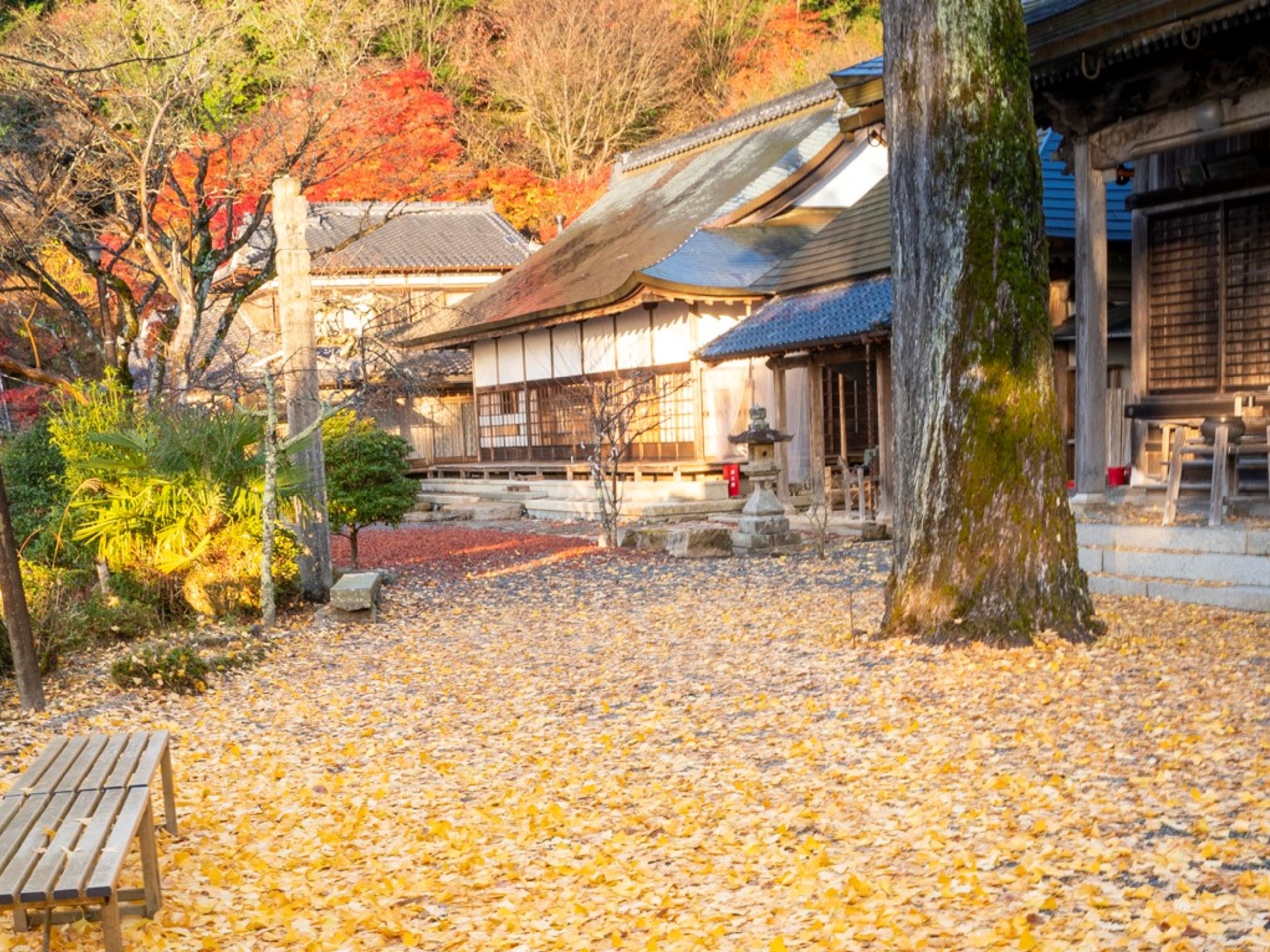 フェアフィールド･バイ･マリオット･京都京丹波のイメージ