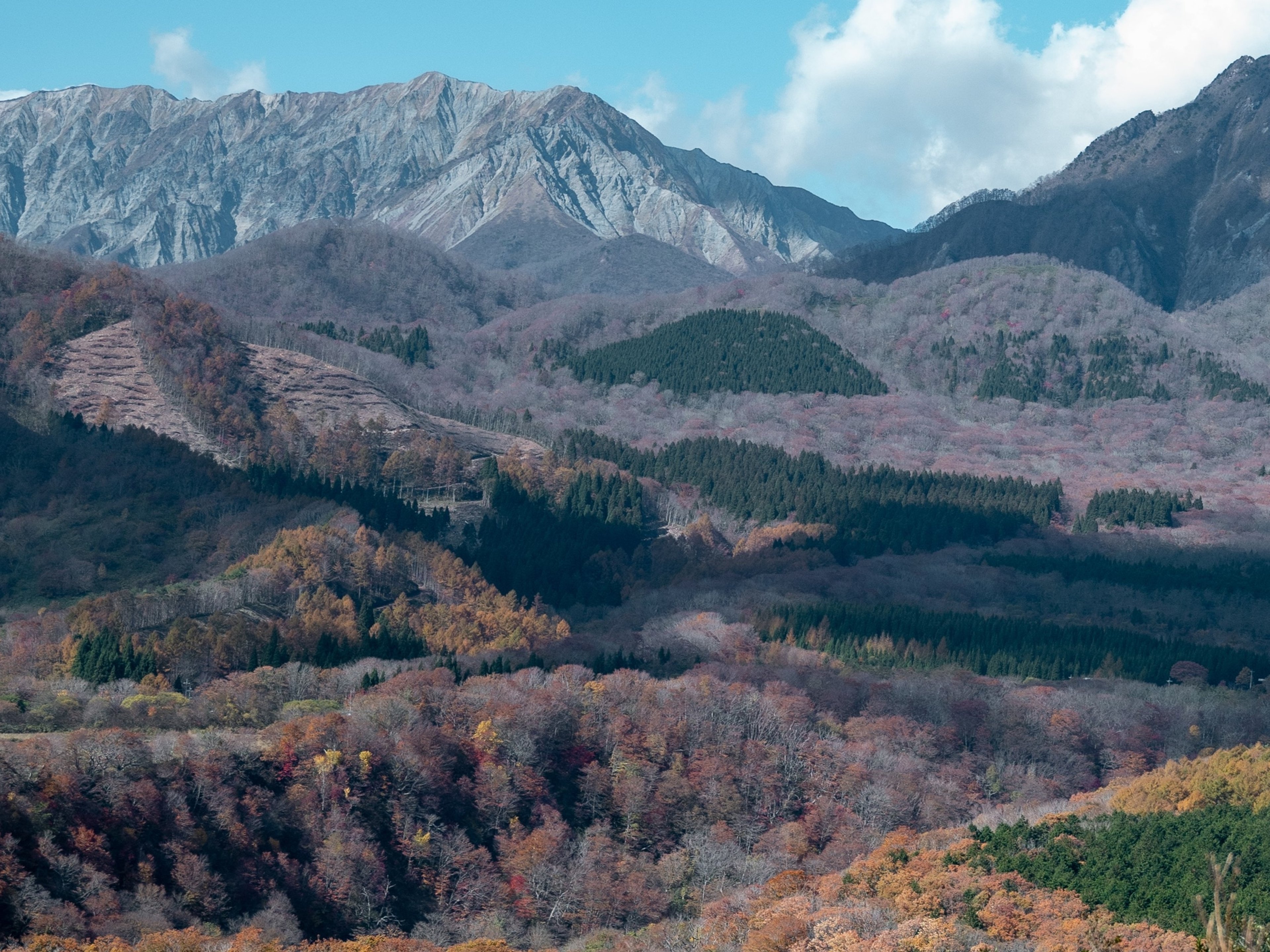 フェアフィールド･バイ･マリオット･岡山蒜山高原のイメージ