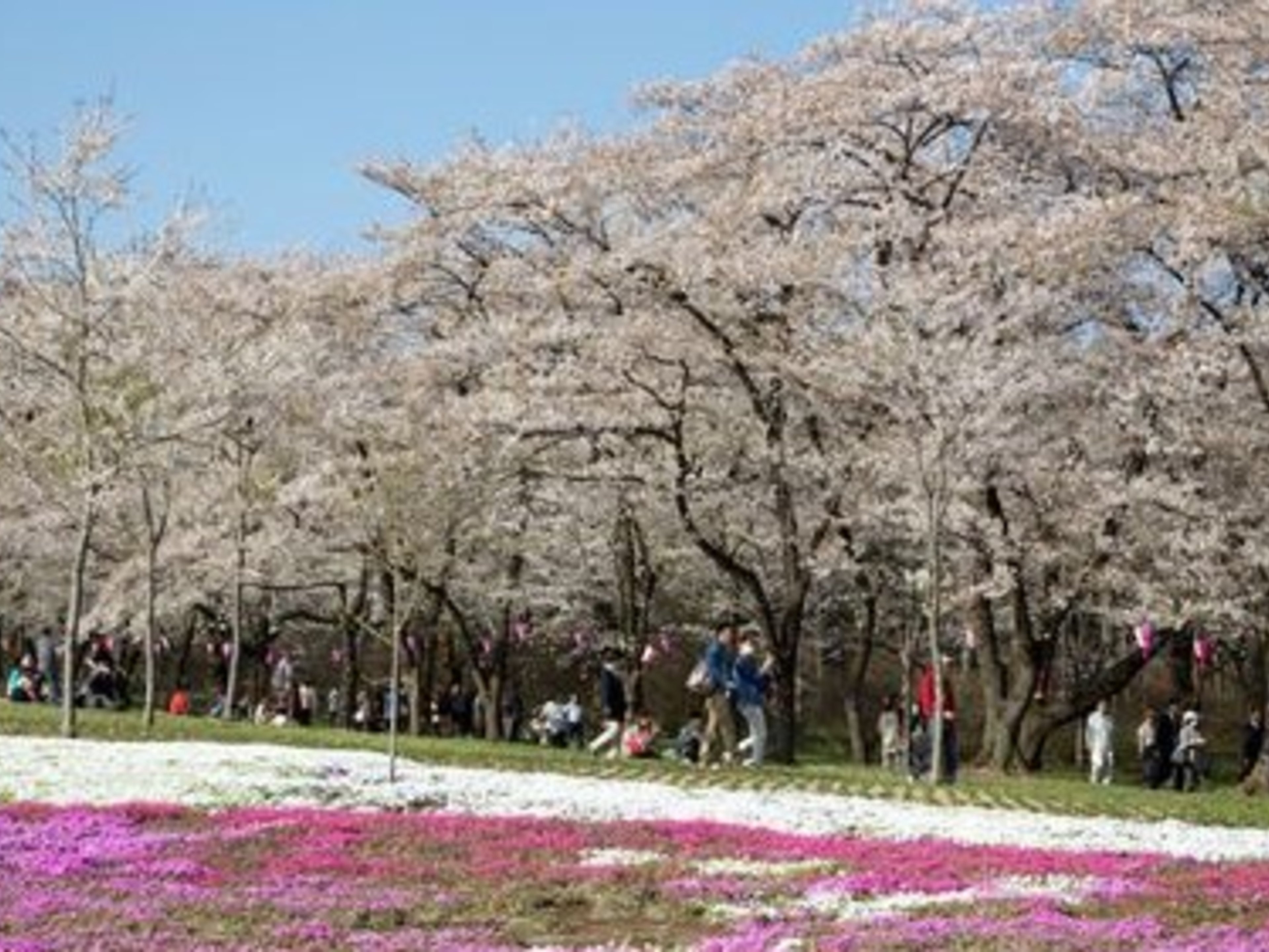 天然温泉妙義の湯 ドーミーイン前橋のイメージ
