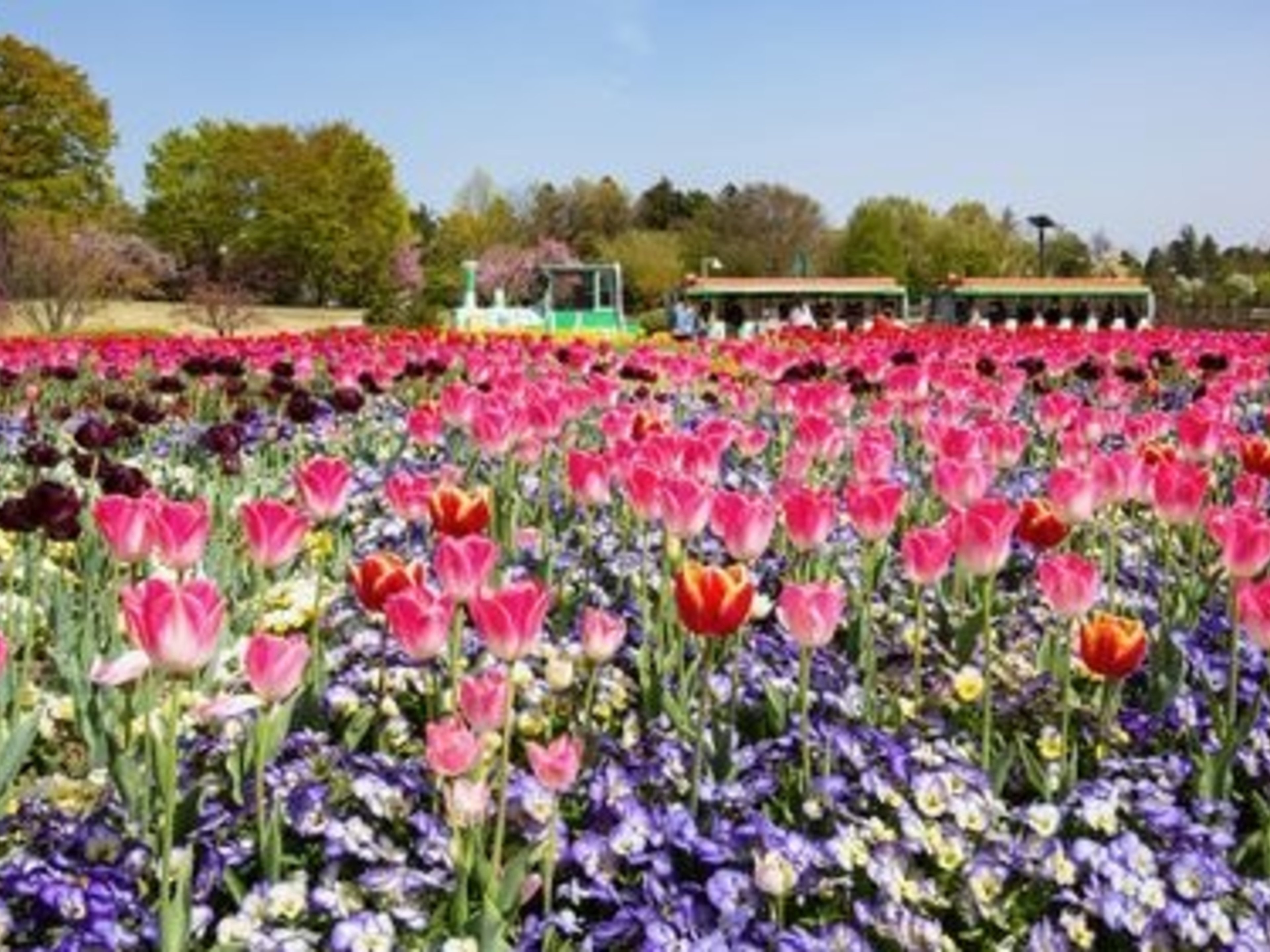 天然温泉妙義の湯 ドーミーイン前橋のイメージ