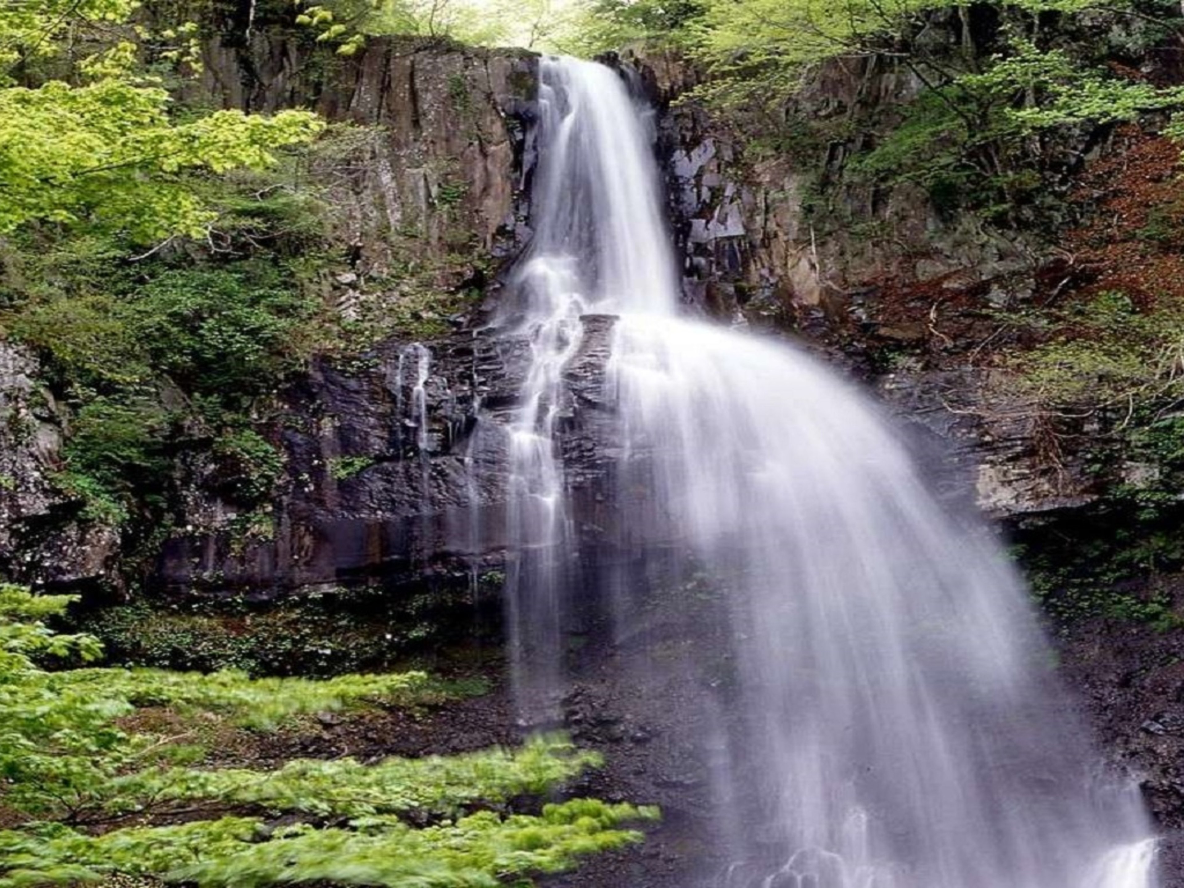 磐梯の湯 ドーミーイン郡山のイメージ