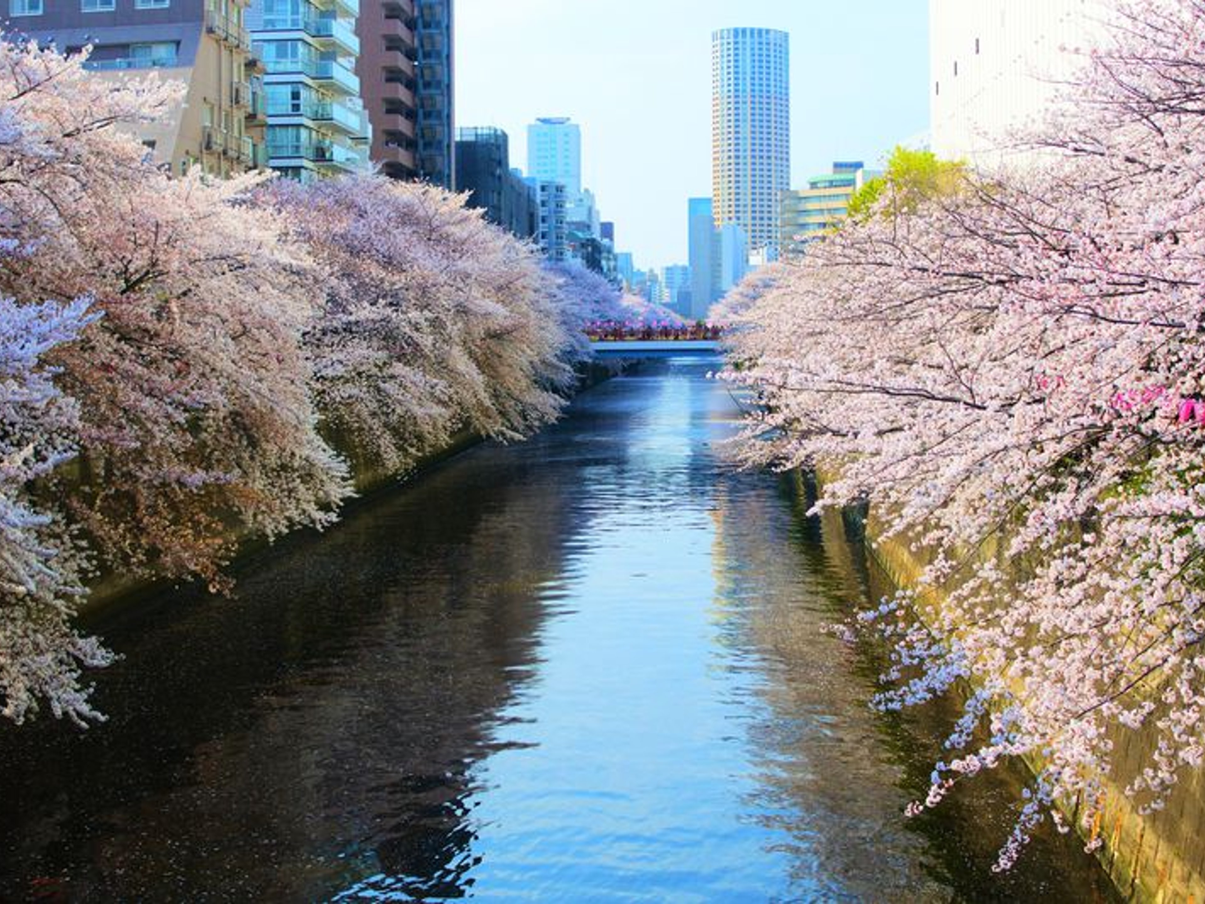 京王目黒マンションのイメージ