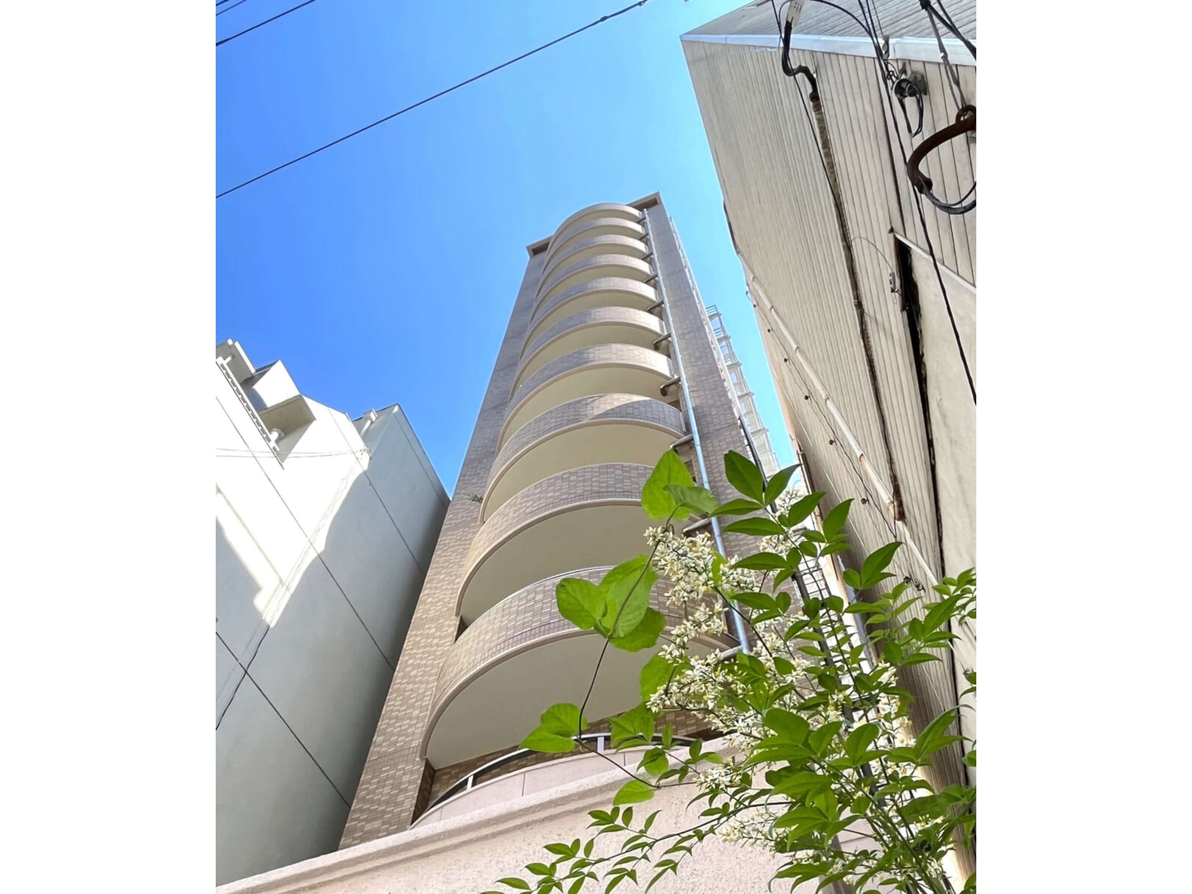 BraTTo松屋町ディナスティⅡのイメージ