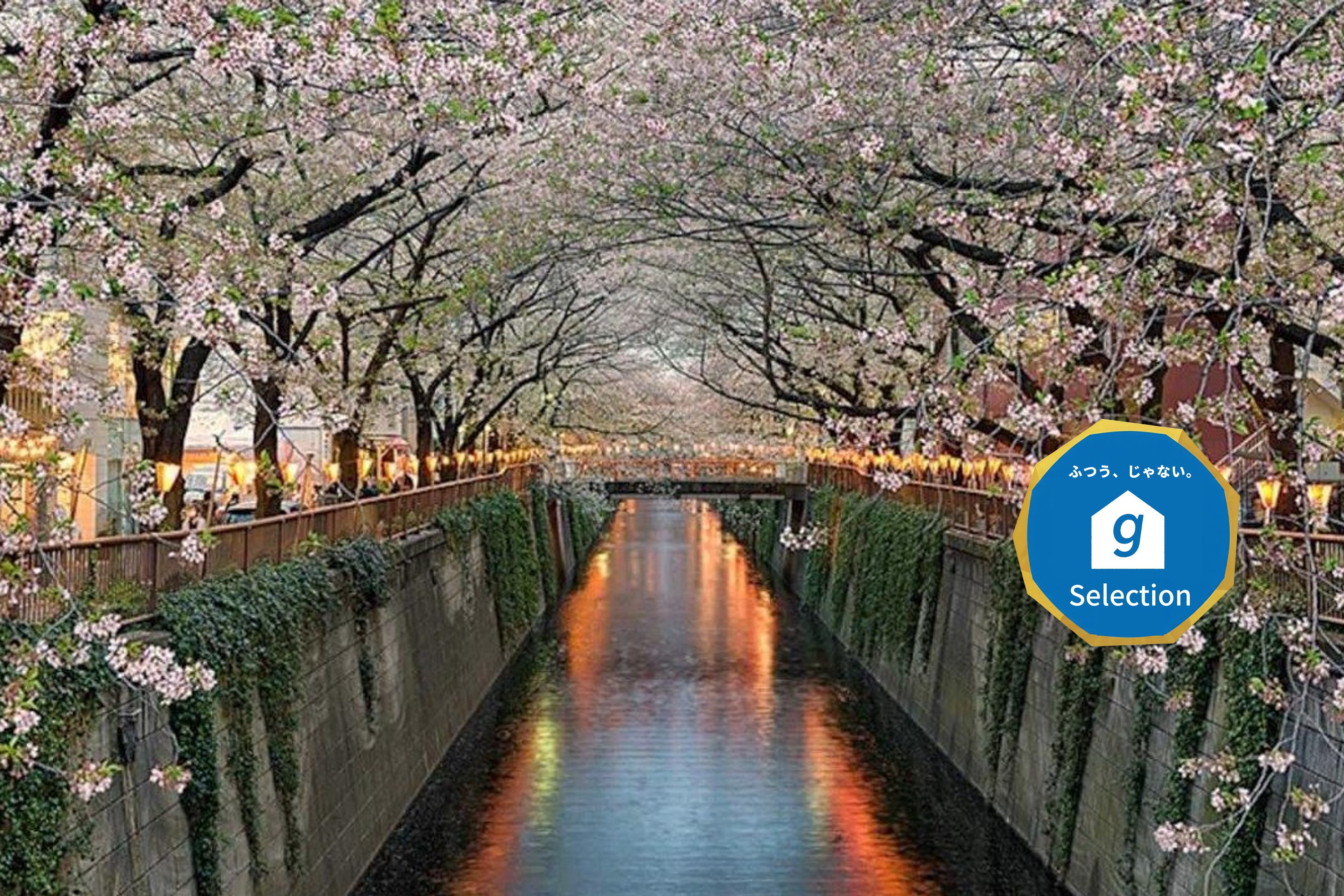 EstLargo Meguroのイメージ