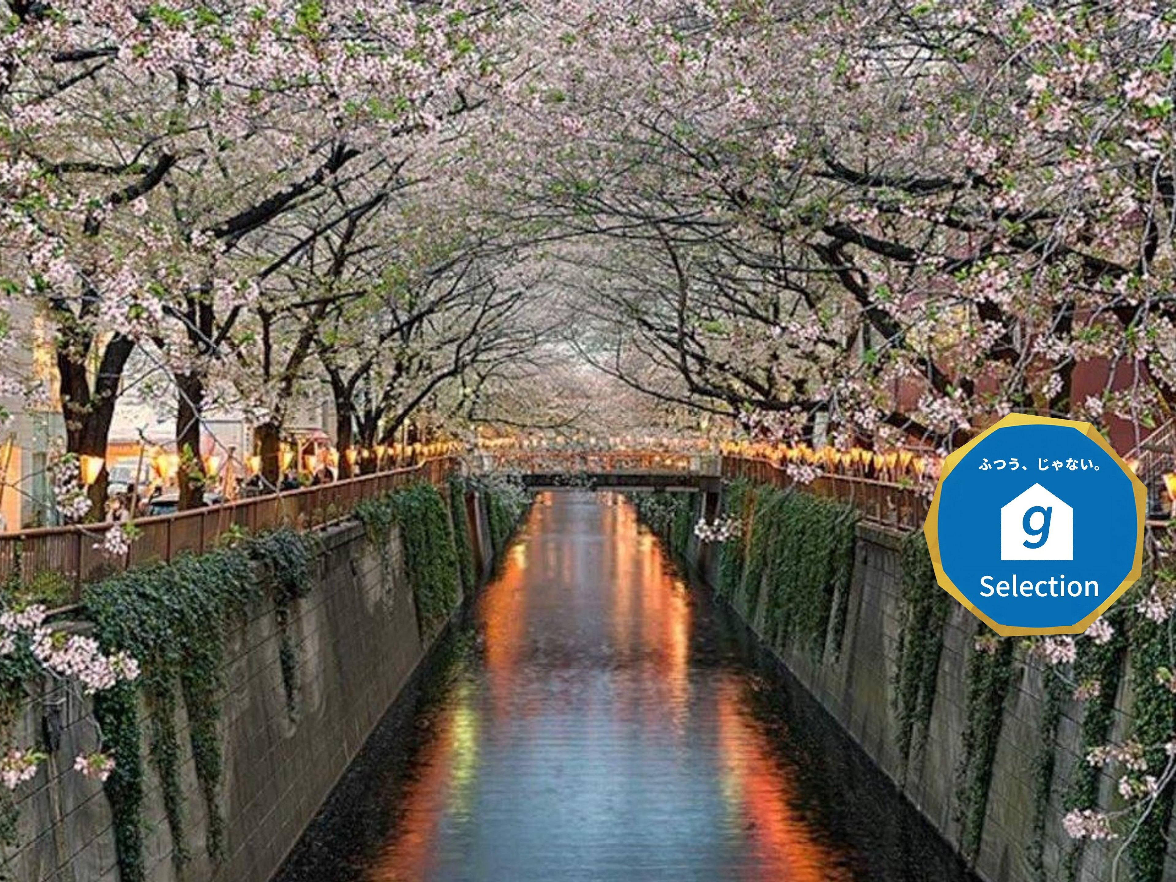 EstLargo Meguroのイメージ