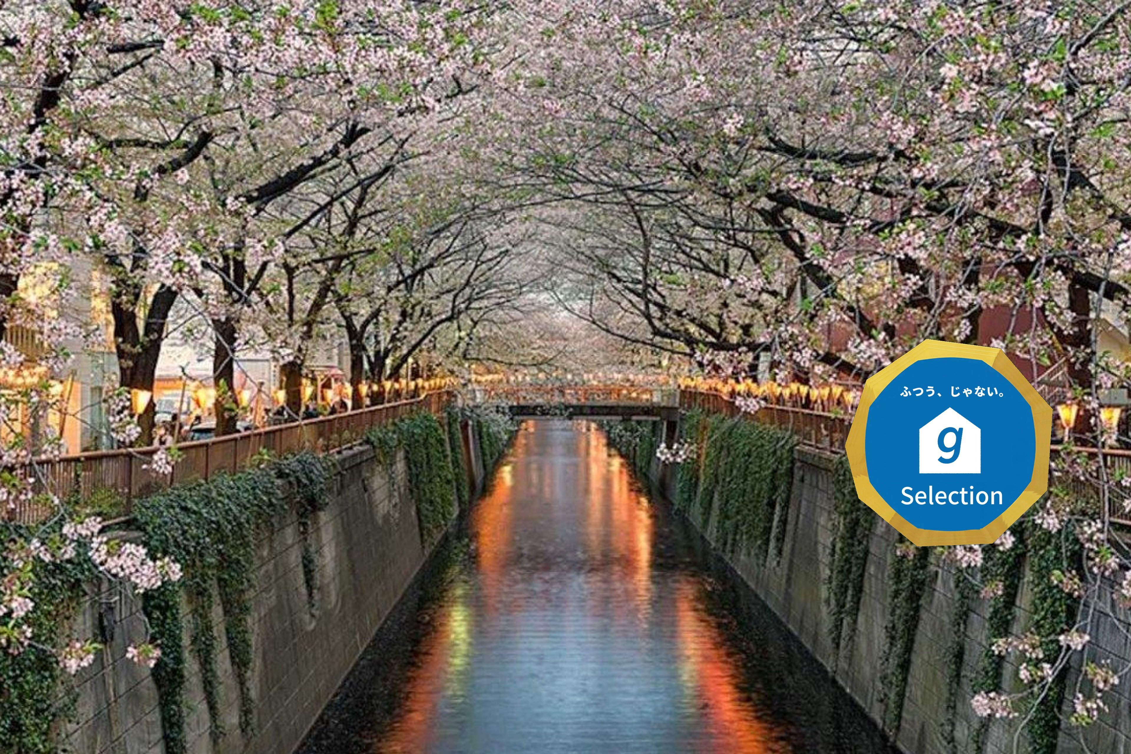 EstLargo Meguroのイメージ