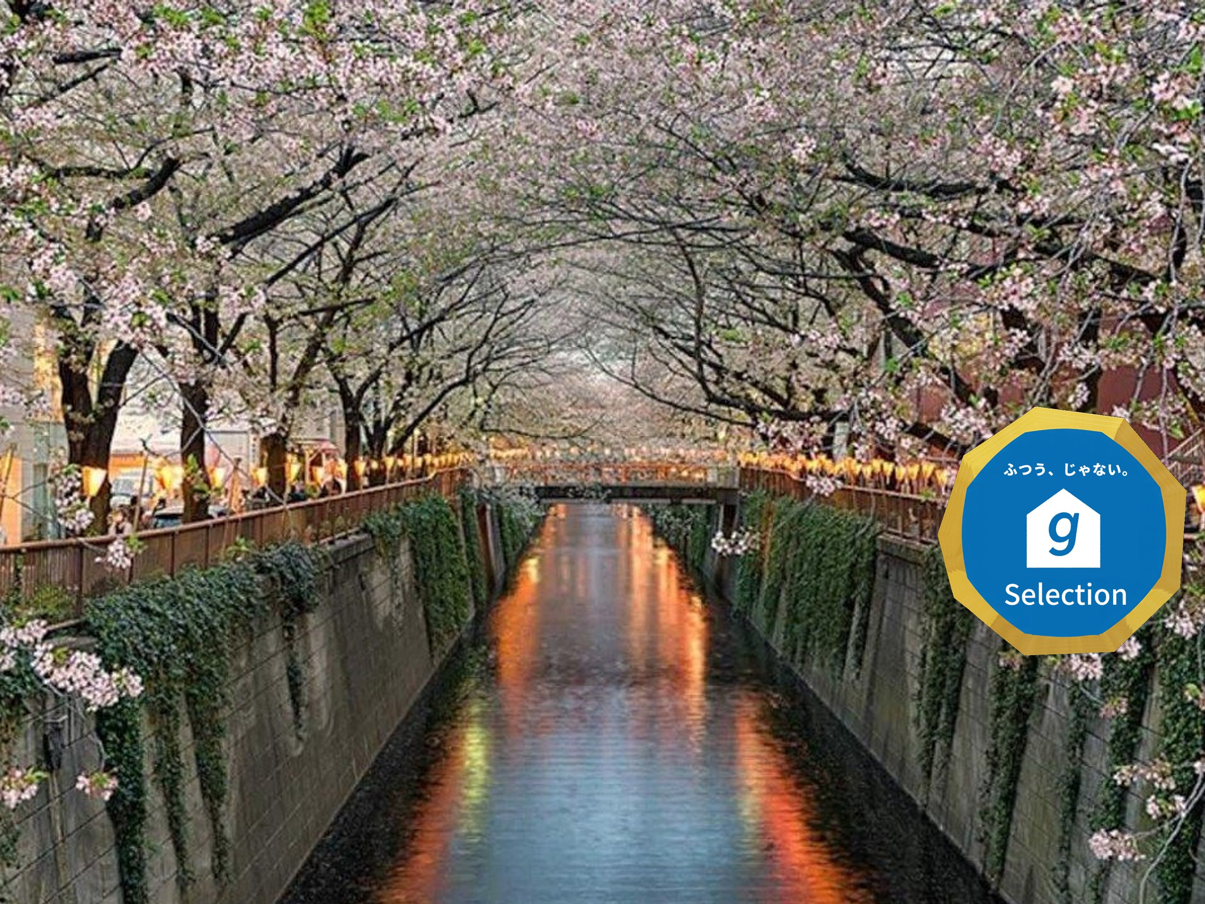 EstLargo Meguroのイメージ