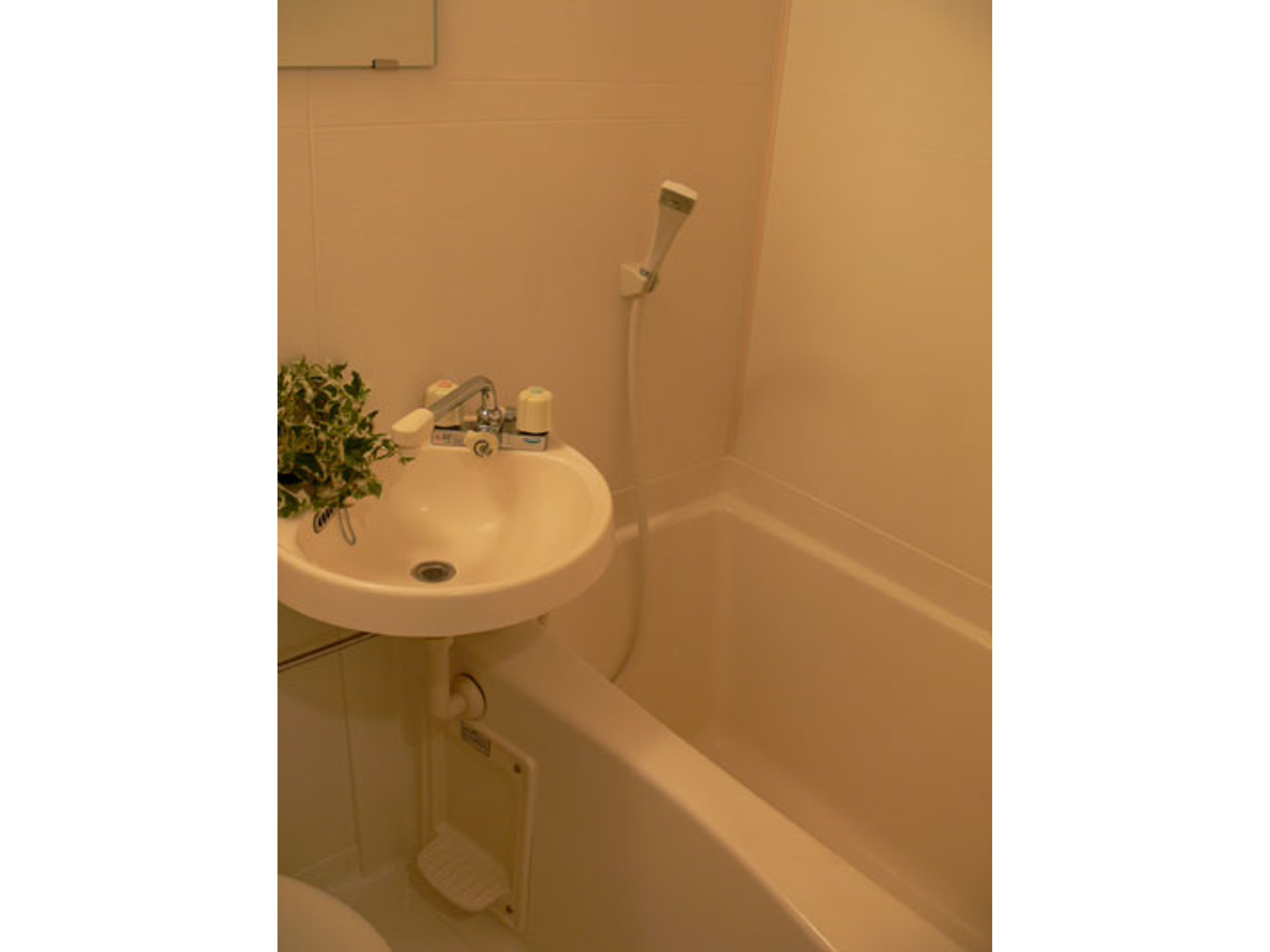 BraTToラビスタのイメージ