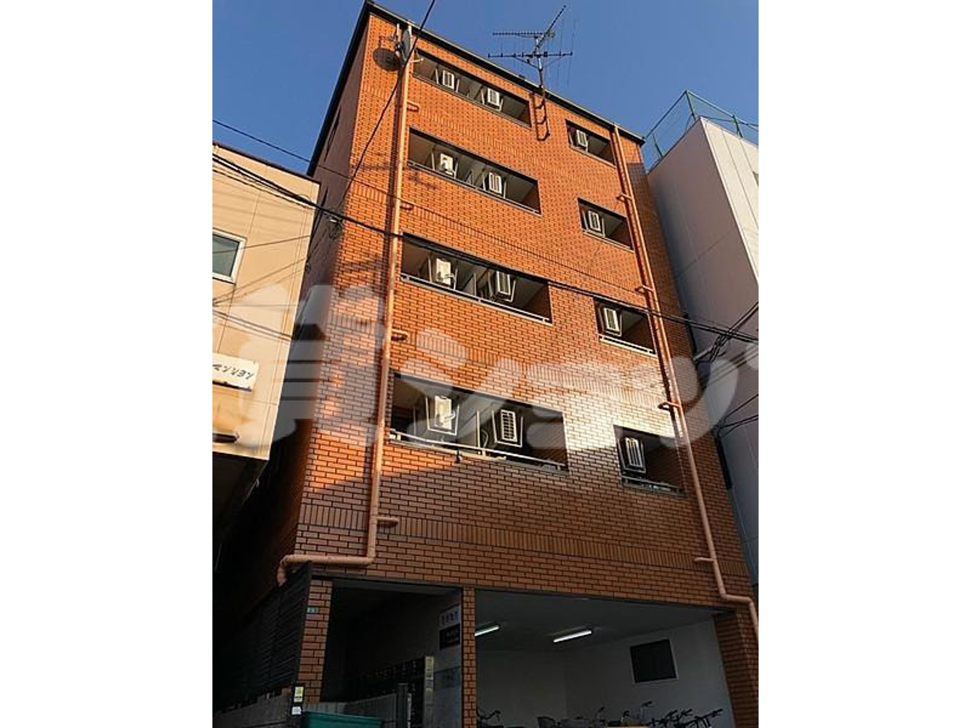 BraTTo堺シルフィードのイメージ