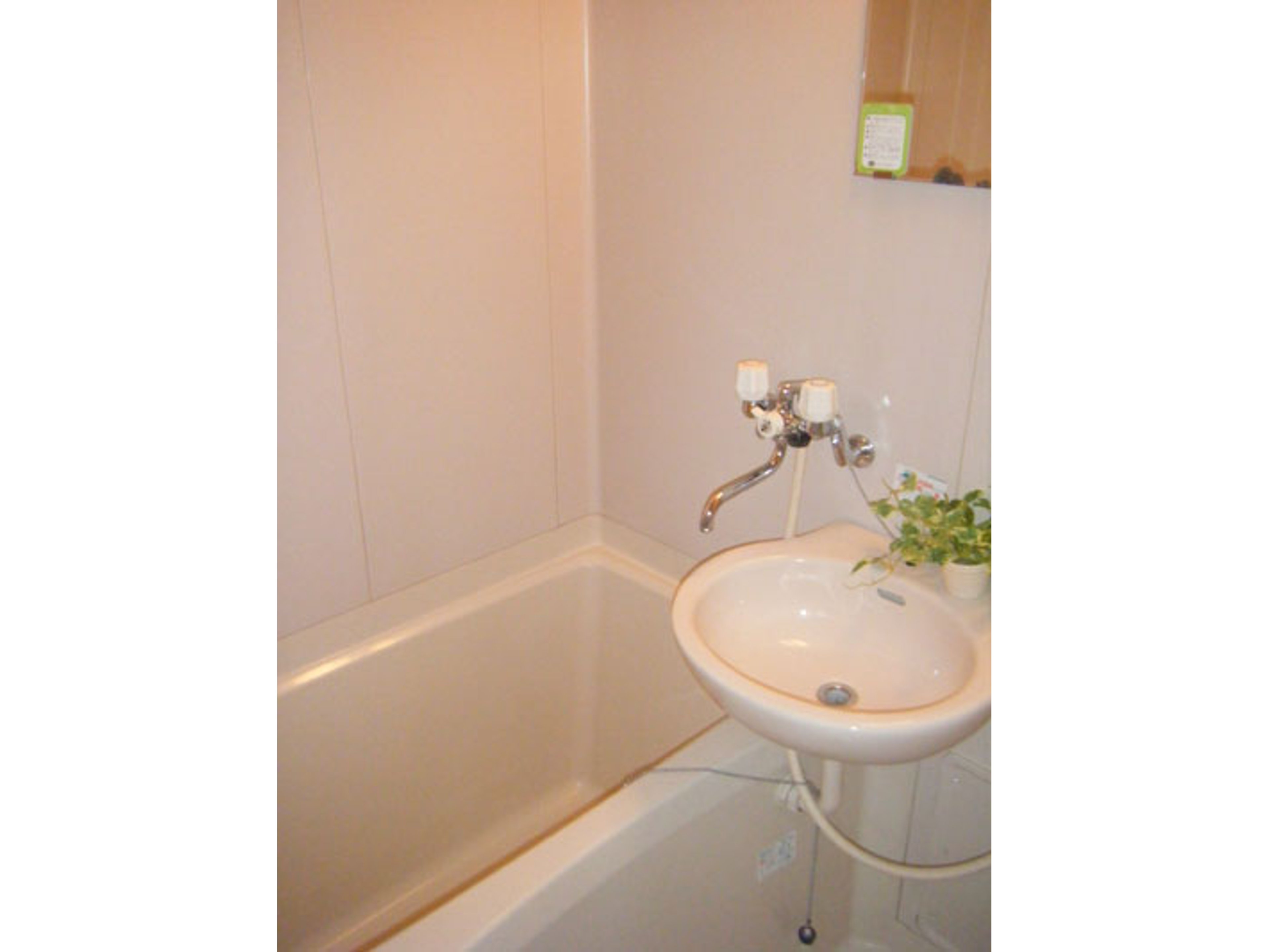 BraTTo堺シルフィードのイメージ