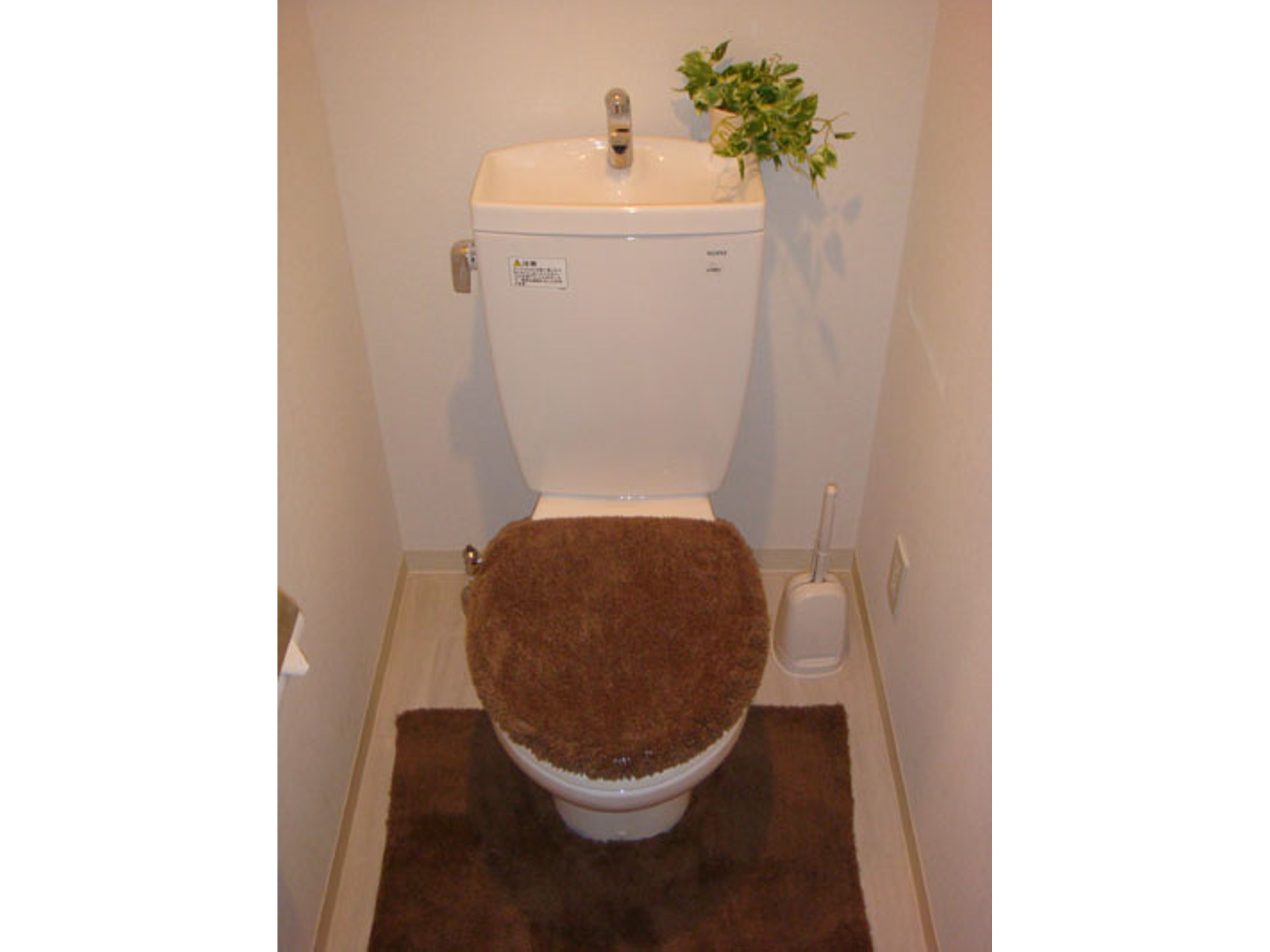 BraTTo堺シルフィードのイメージ