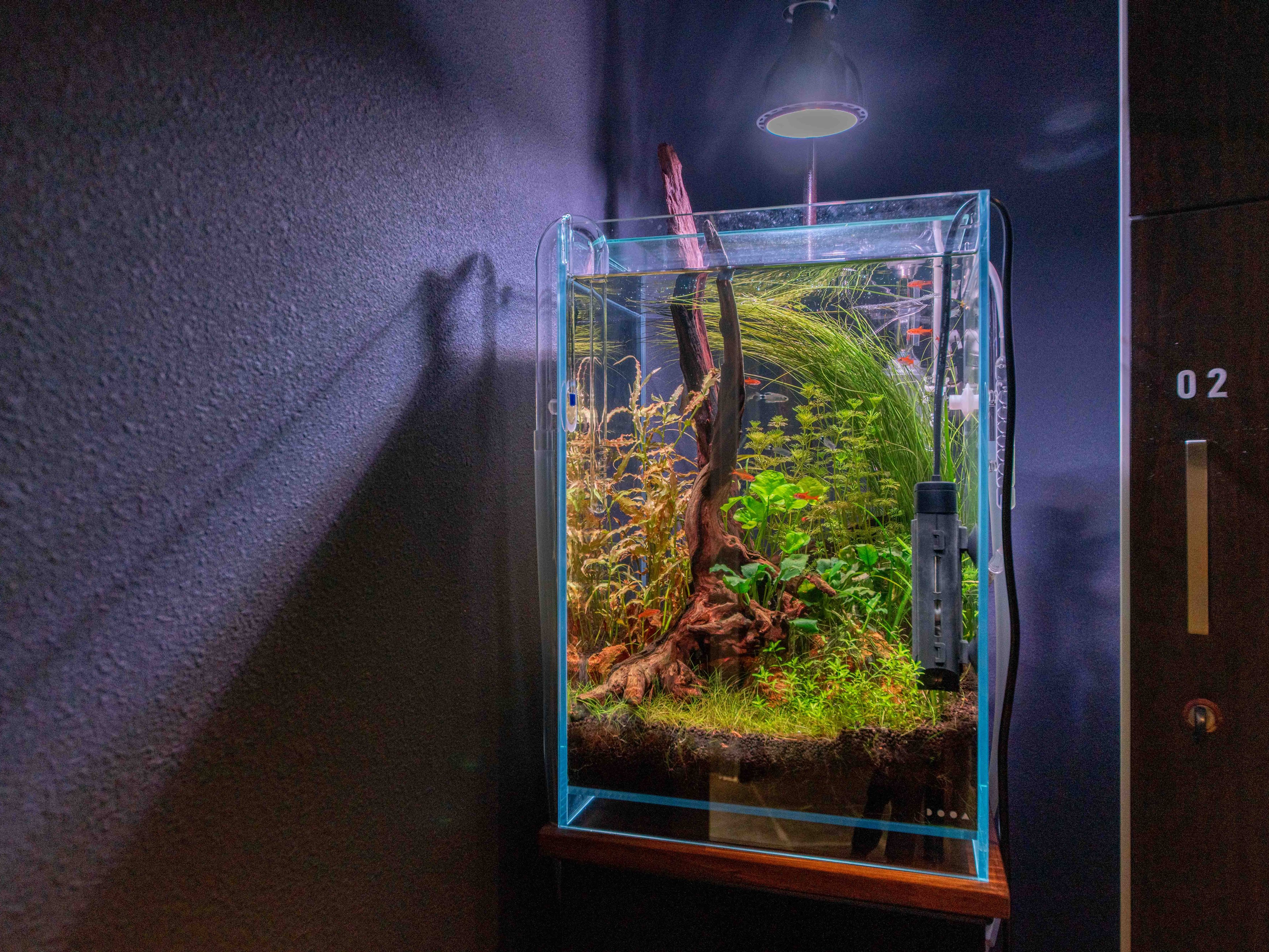 goodroom residence 学芸大学のイメージ