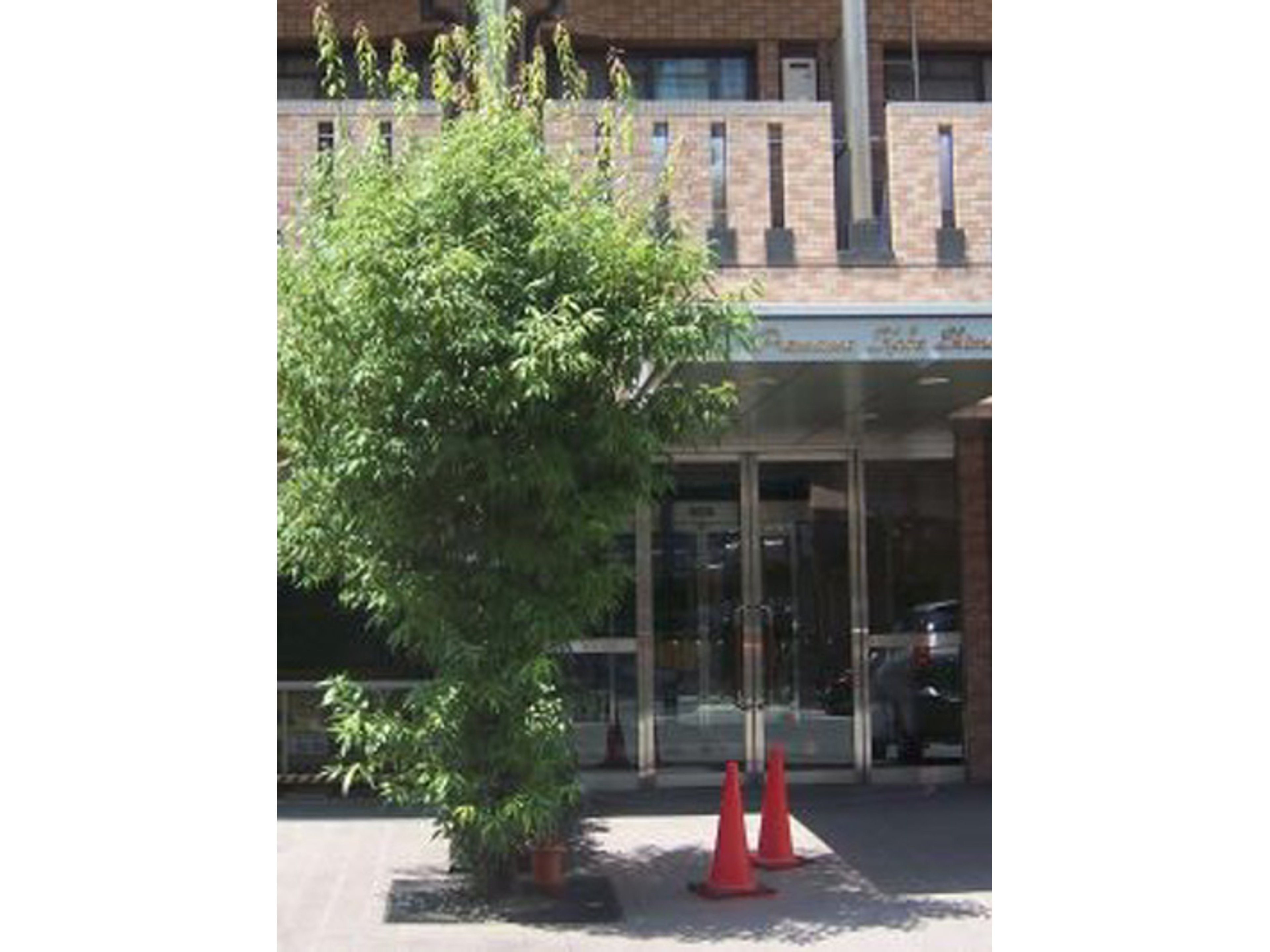 BraTTo神戸駅前のイメージ