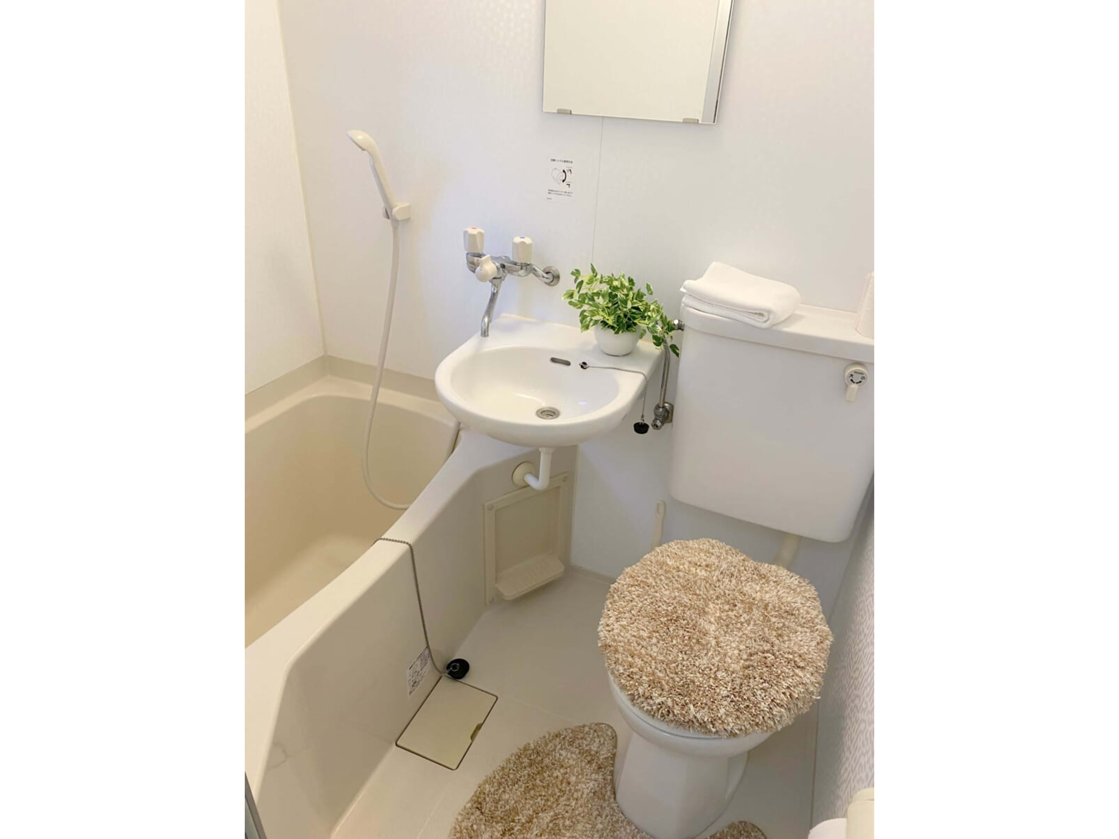 BraTTo広島Ⅱのイメージ