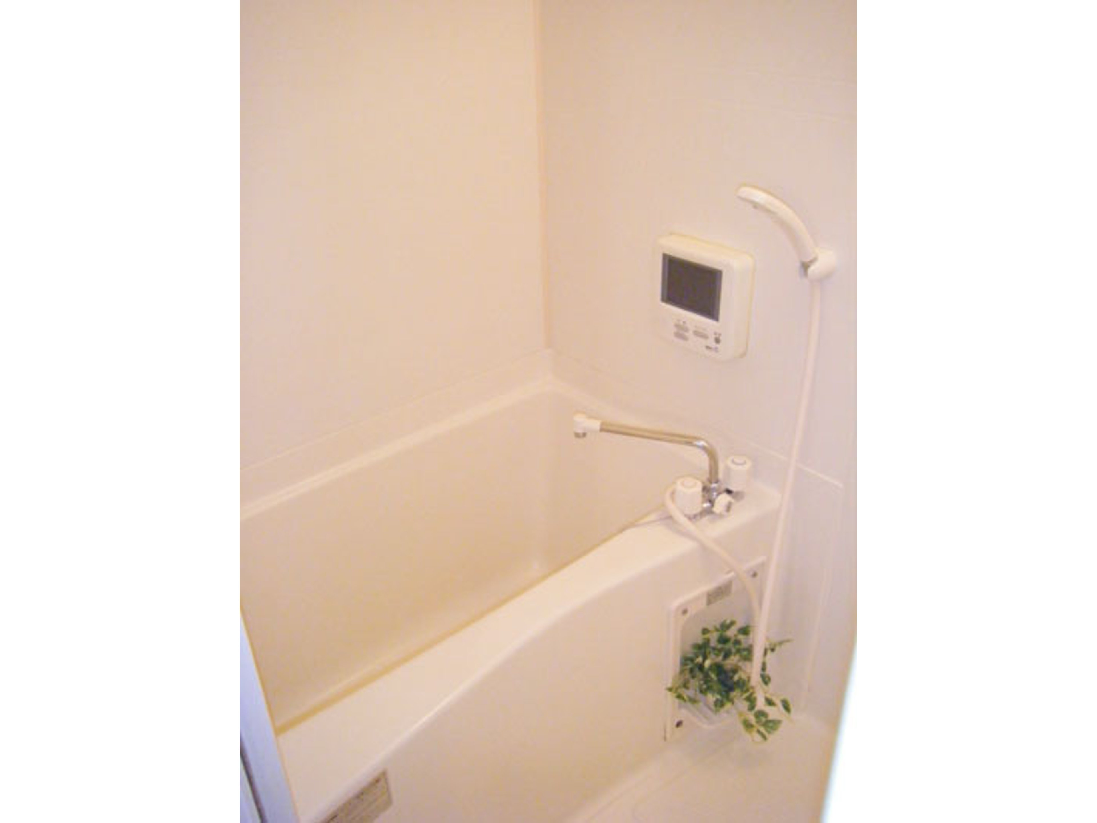 BraTTo福岡薬院アネックスⅡのイメージ