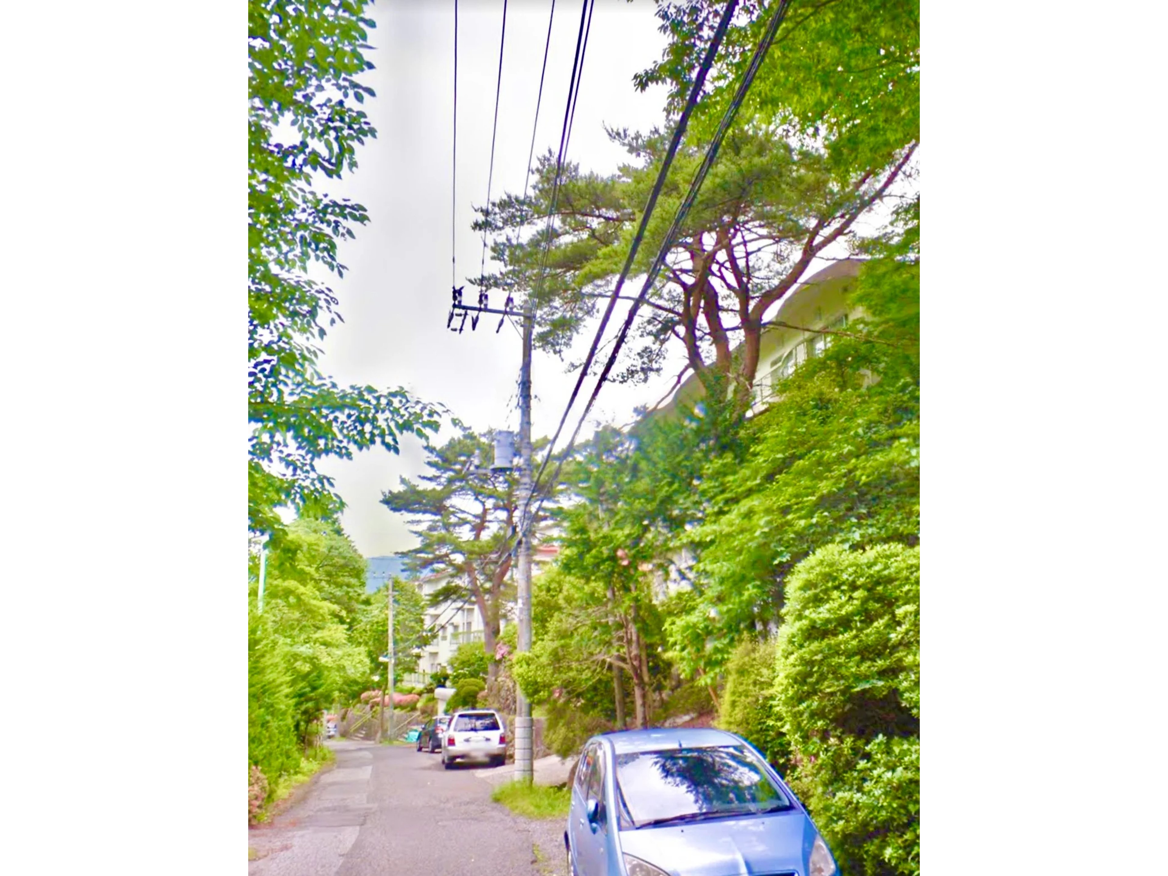 箱根仙石原の杜のイメージ