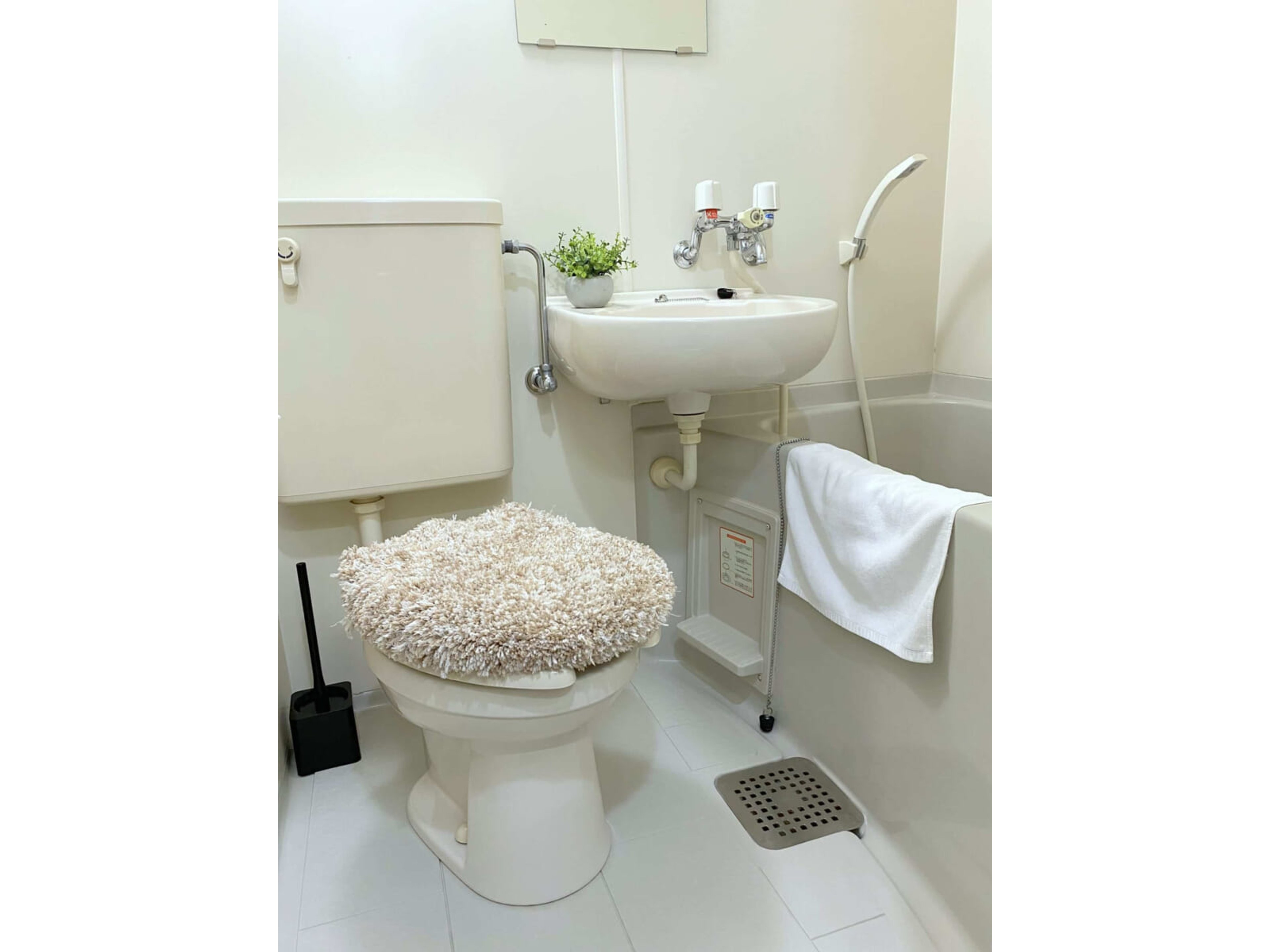 BraTTo青森グリーンポムズCのイメージ