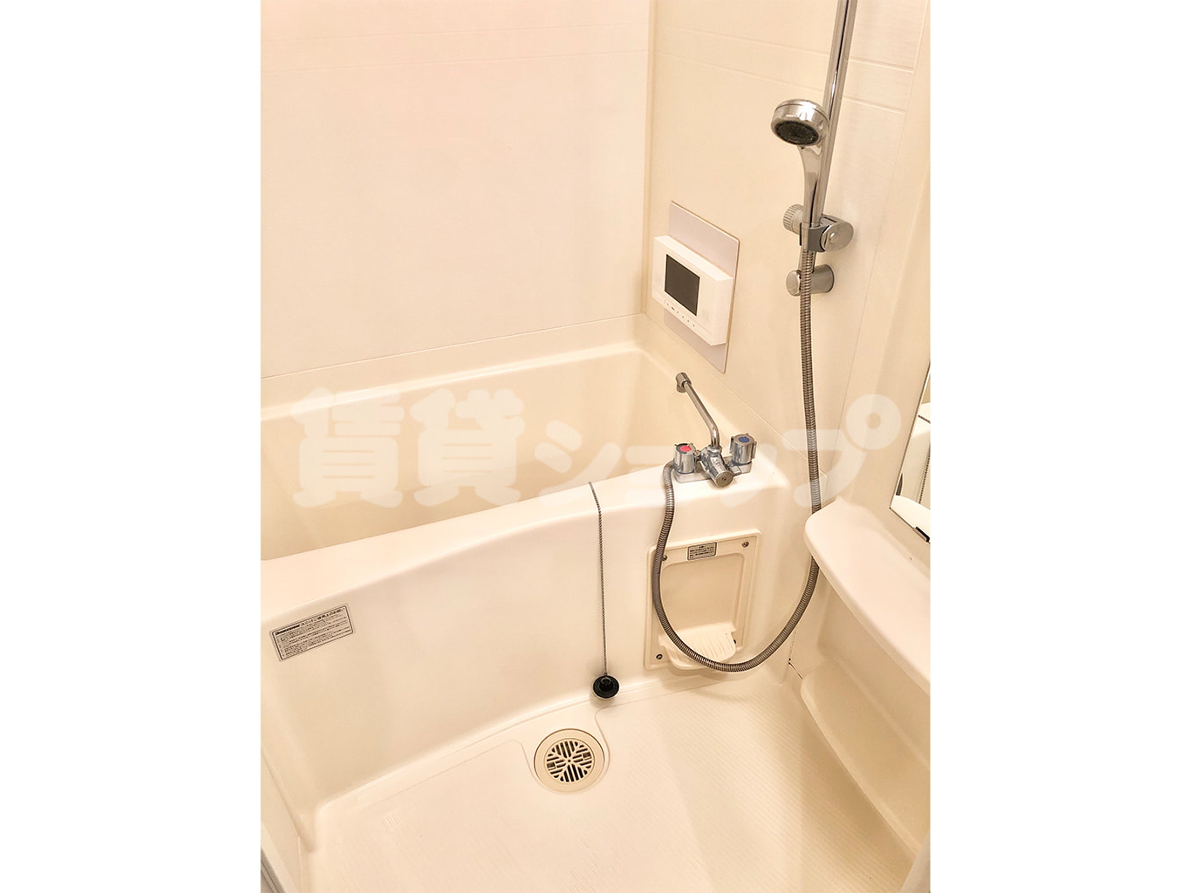 BraTTo群馬グランツのイメージ