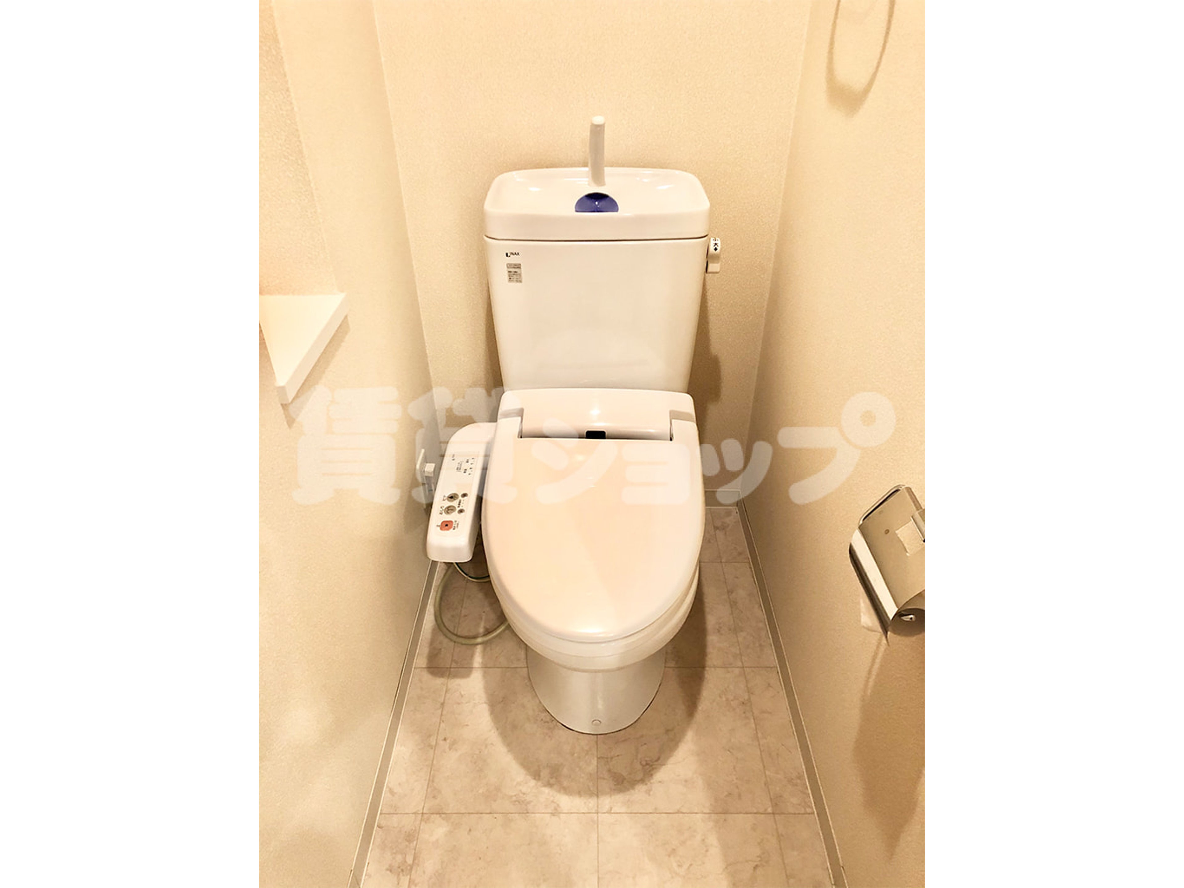 BraTTo群馬グランツのイメージ