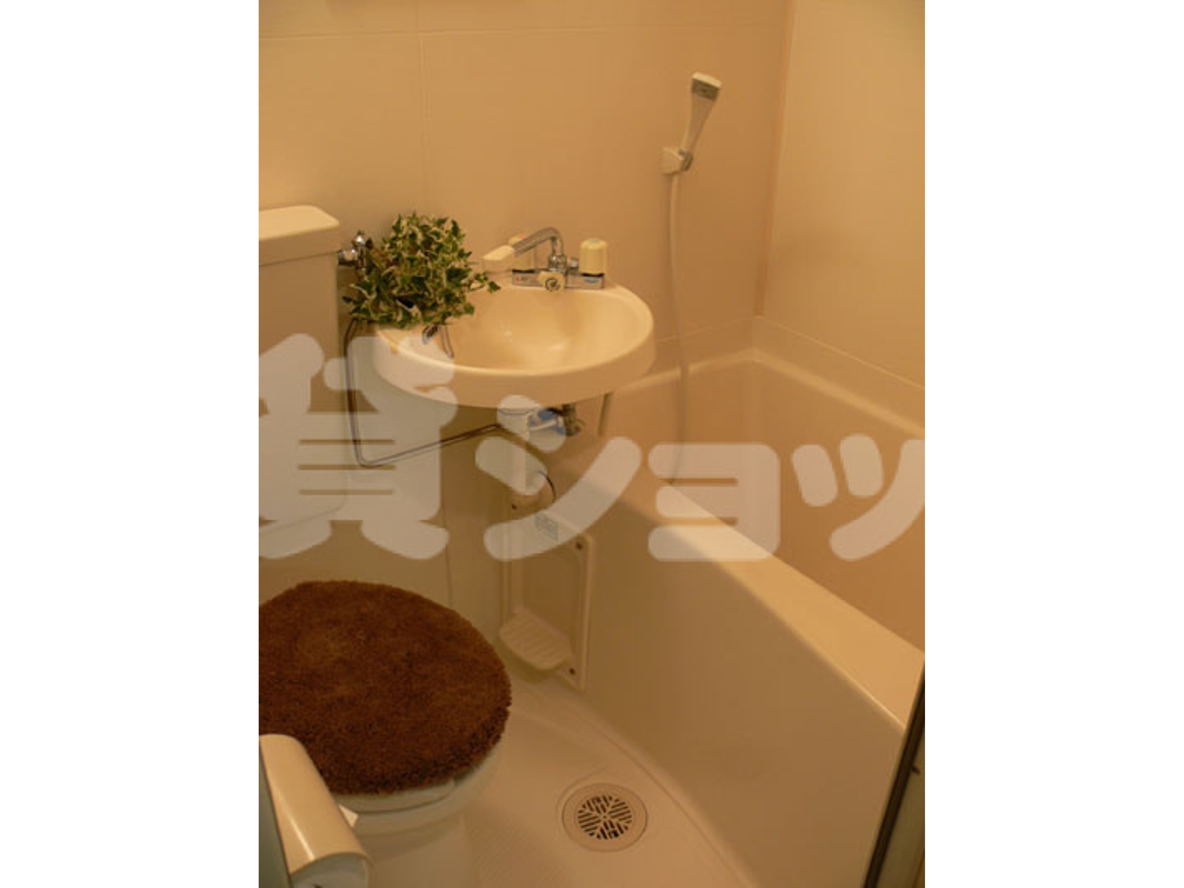 BraTTo柏のイメージ