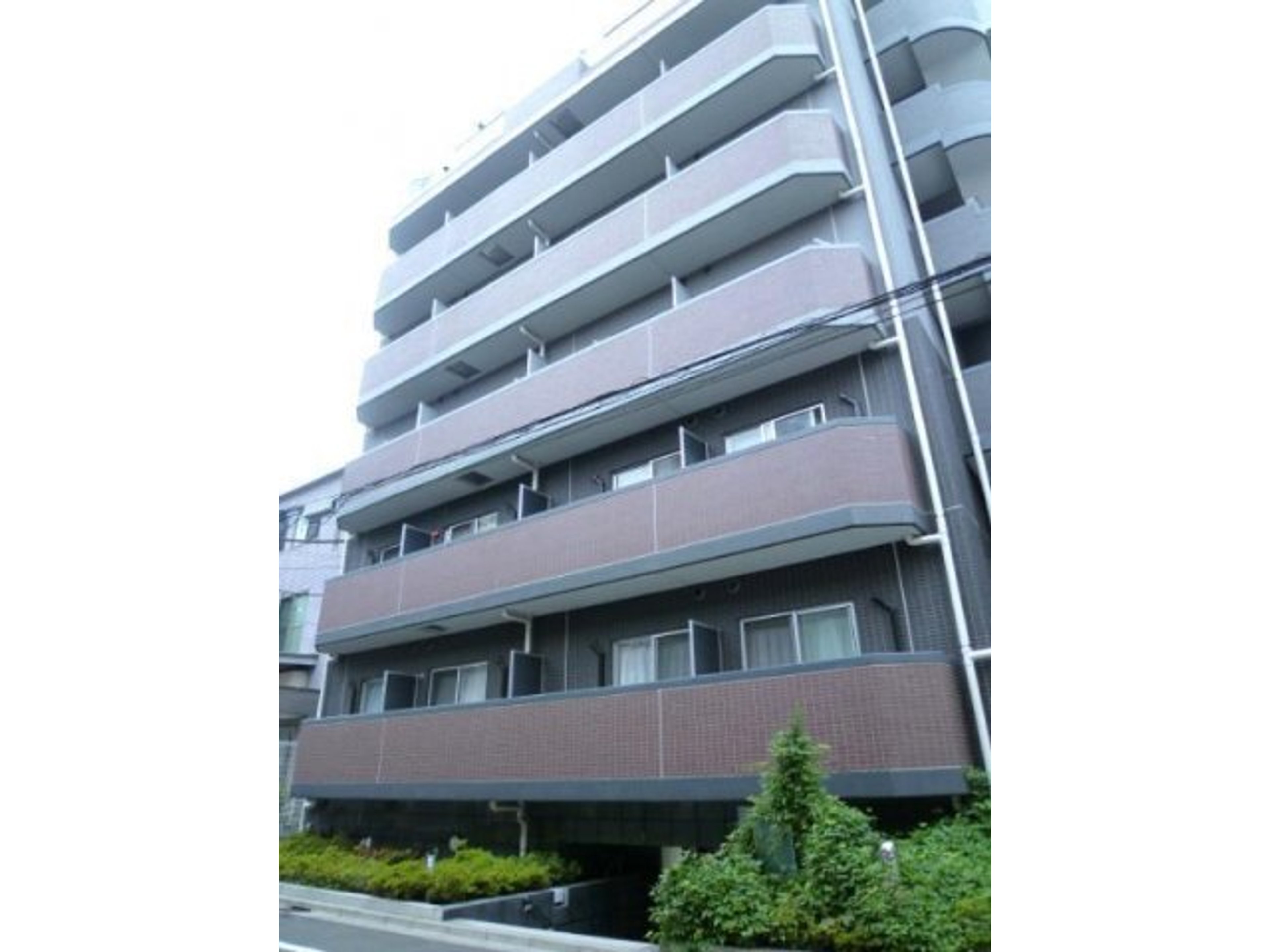 BraTTo菊川ルリオンのイメージ