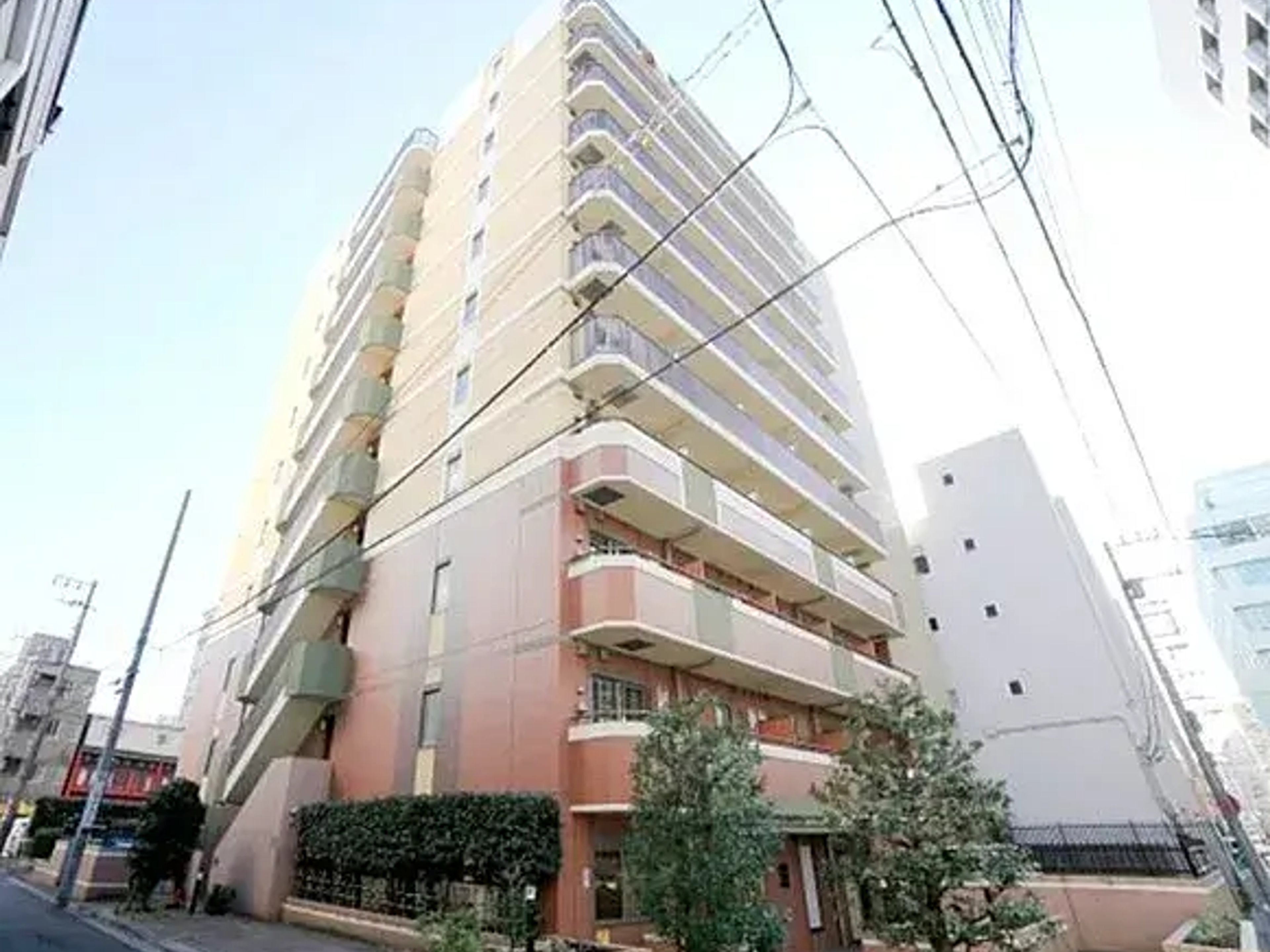 BraTTo横浜ライジングのイメージ