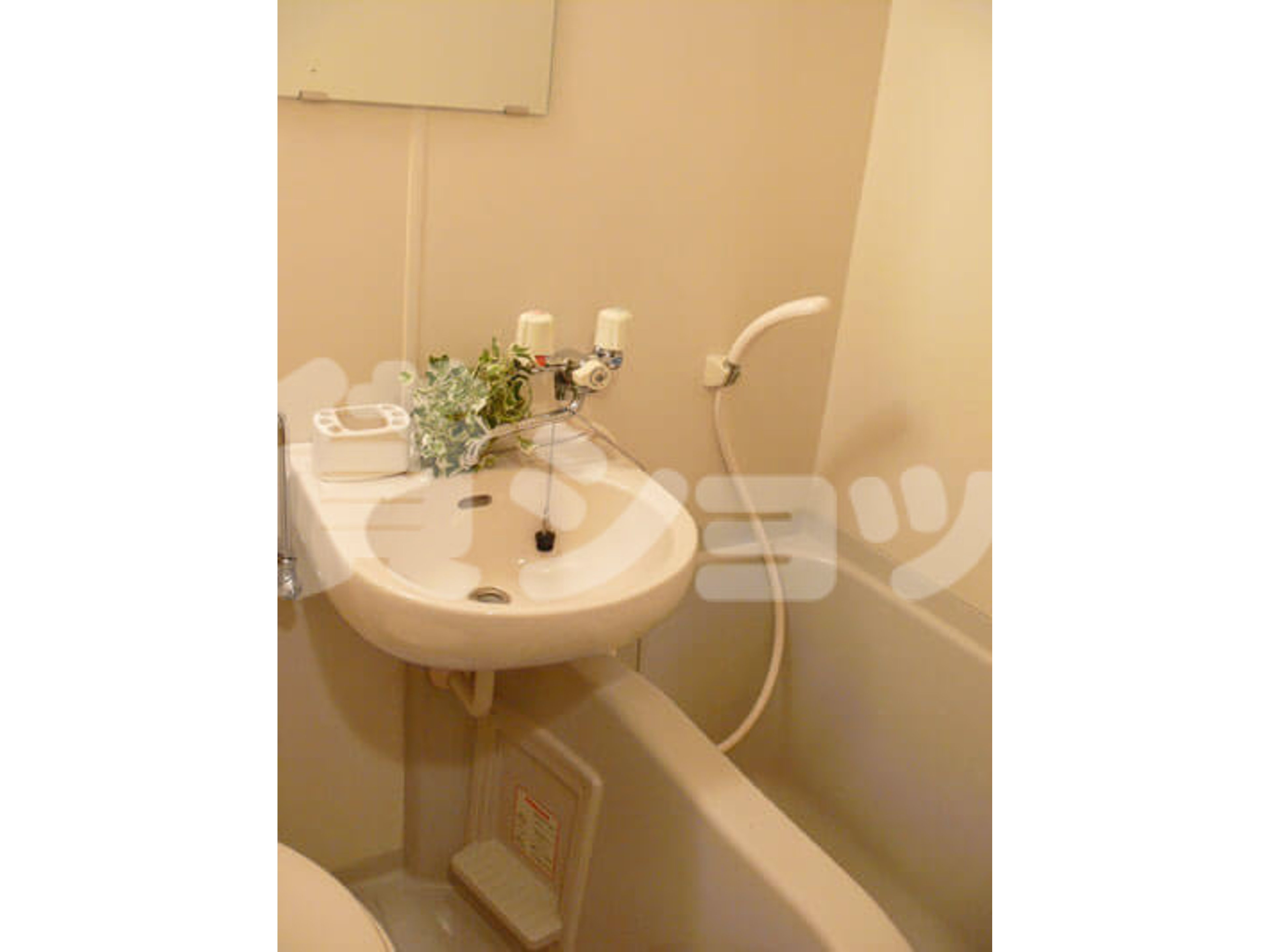 BraTTo横浜プリマドーナのイメージ