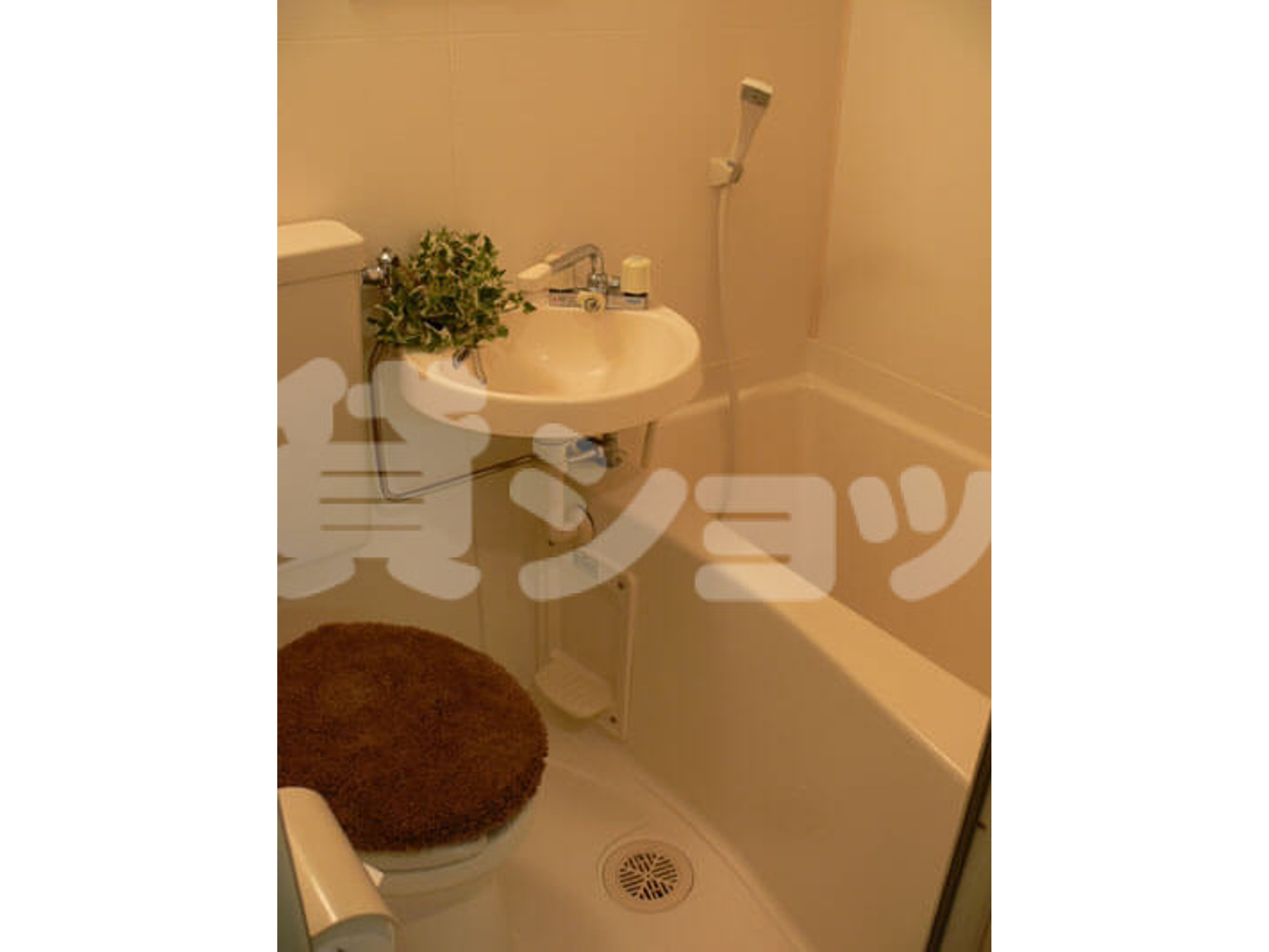 BraTTo横浜ステージ藤沢のイメージ