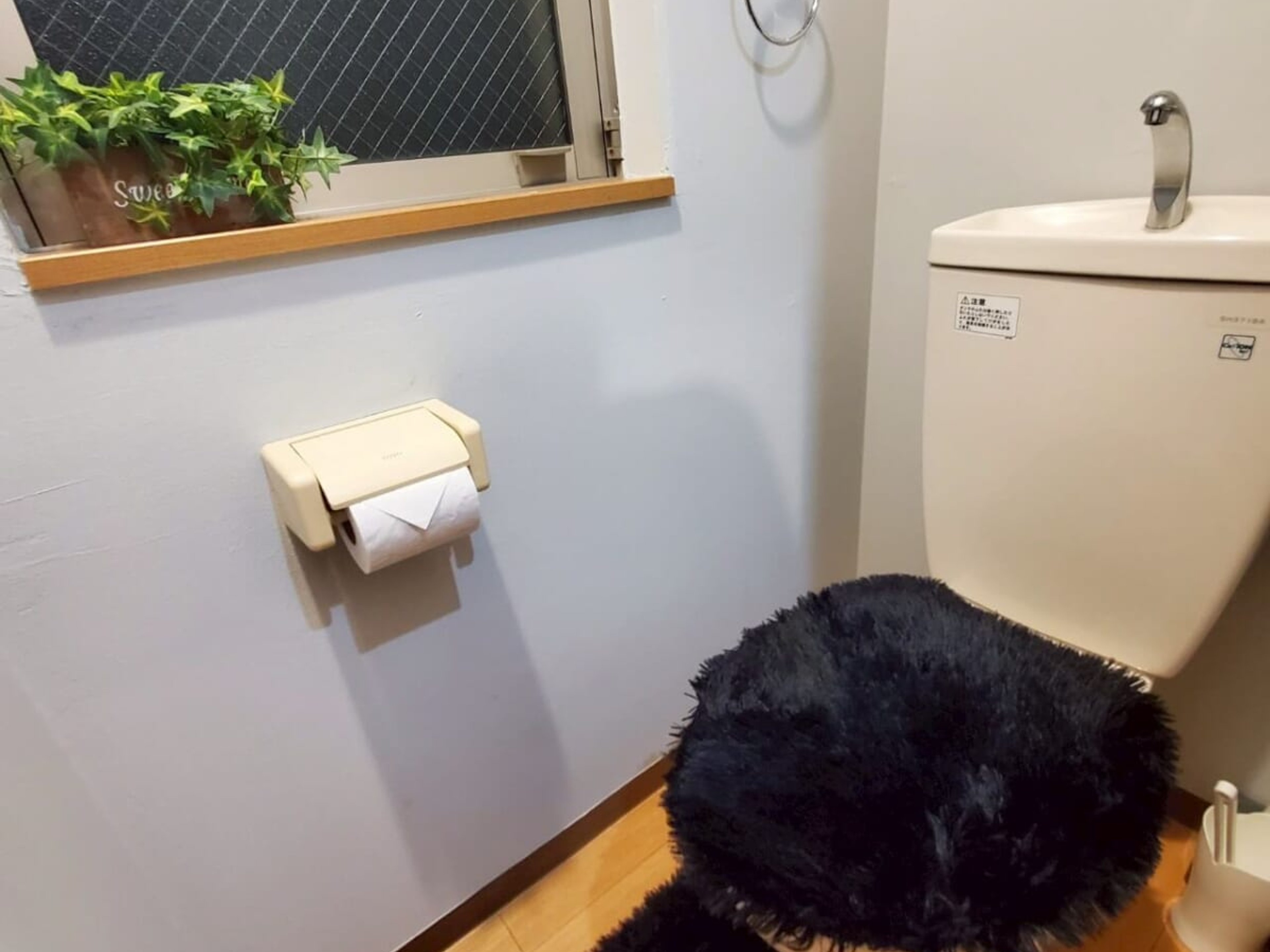 BraTTo金山アムールのイメージ