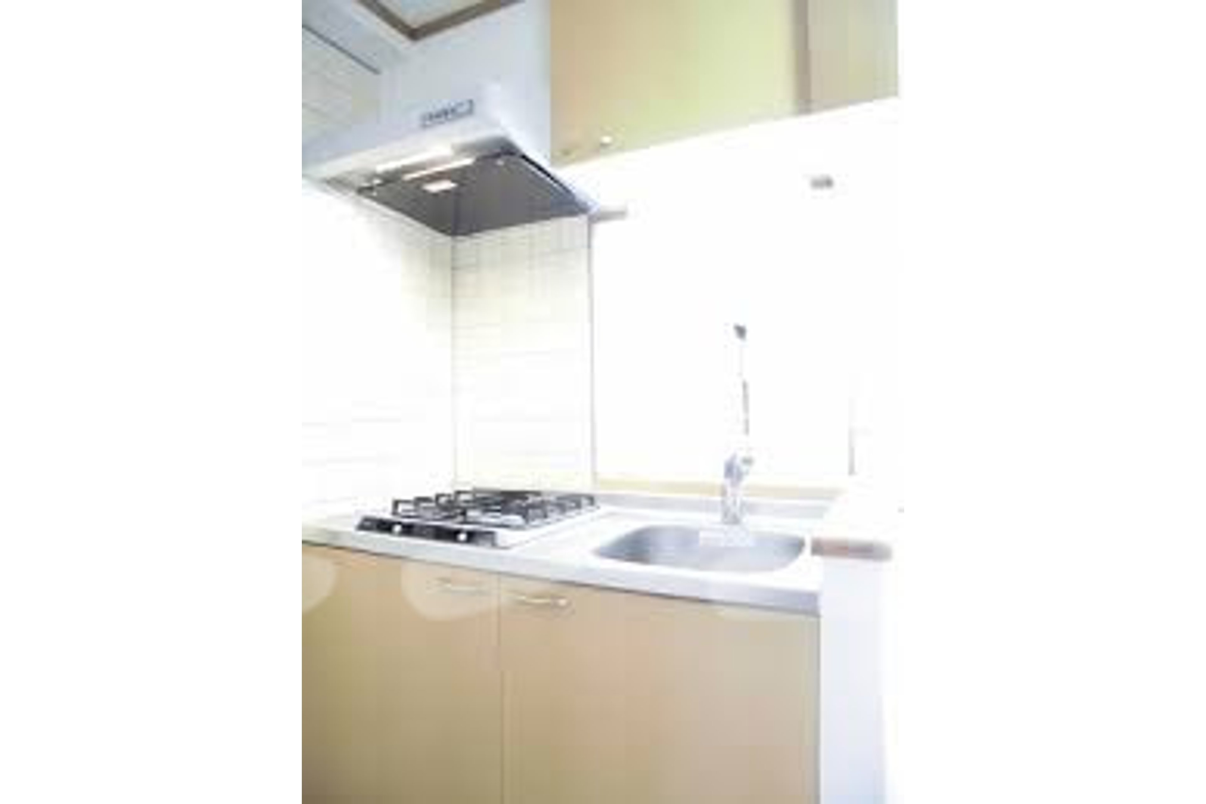 スタンダードタイプのイメージ