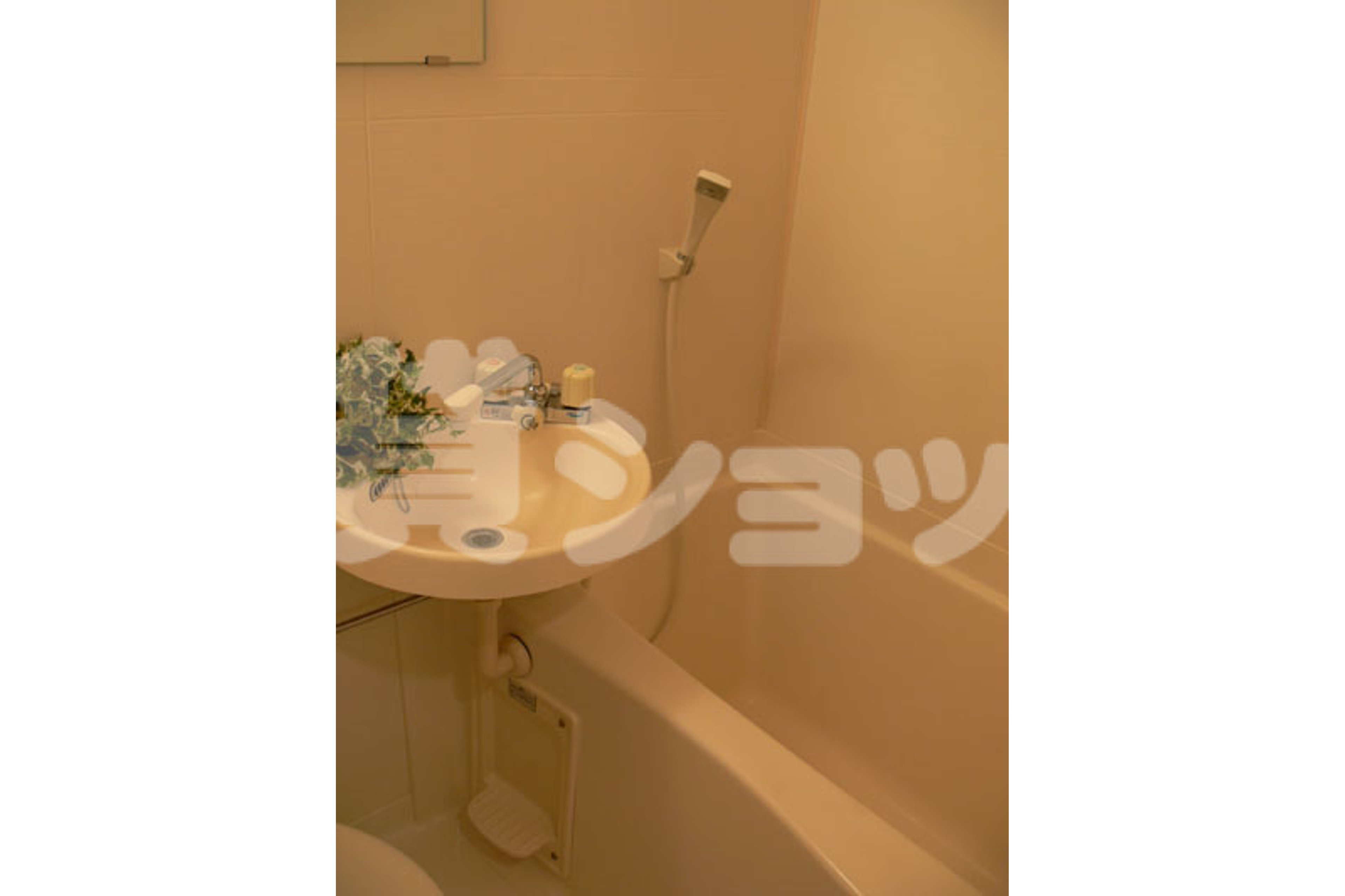 スタンダードタイプのイメージ