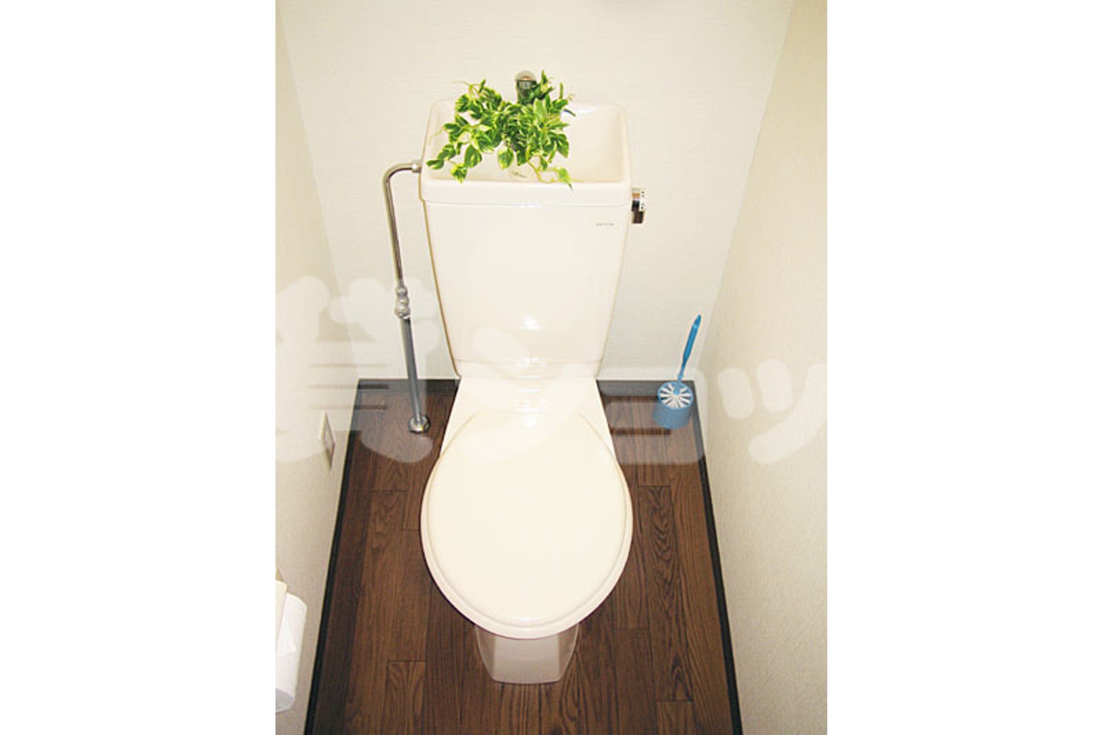 バリュータイプのイメージ