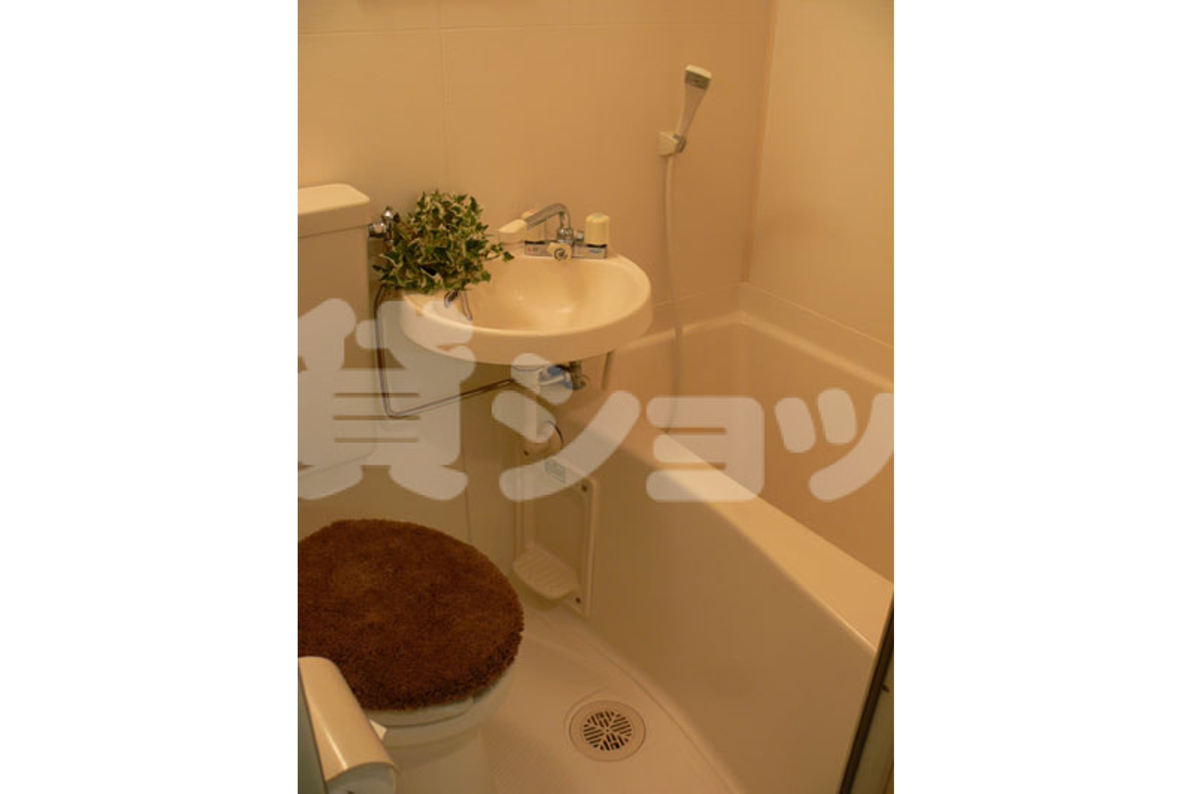 スタンダードタイプのイメージ