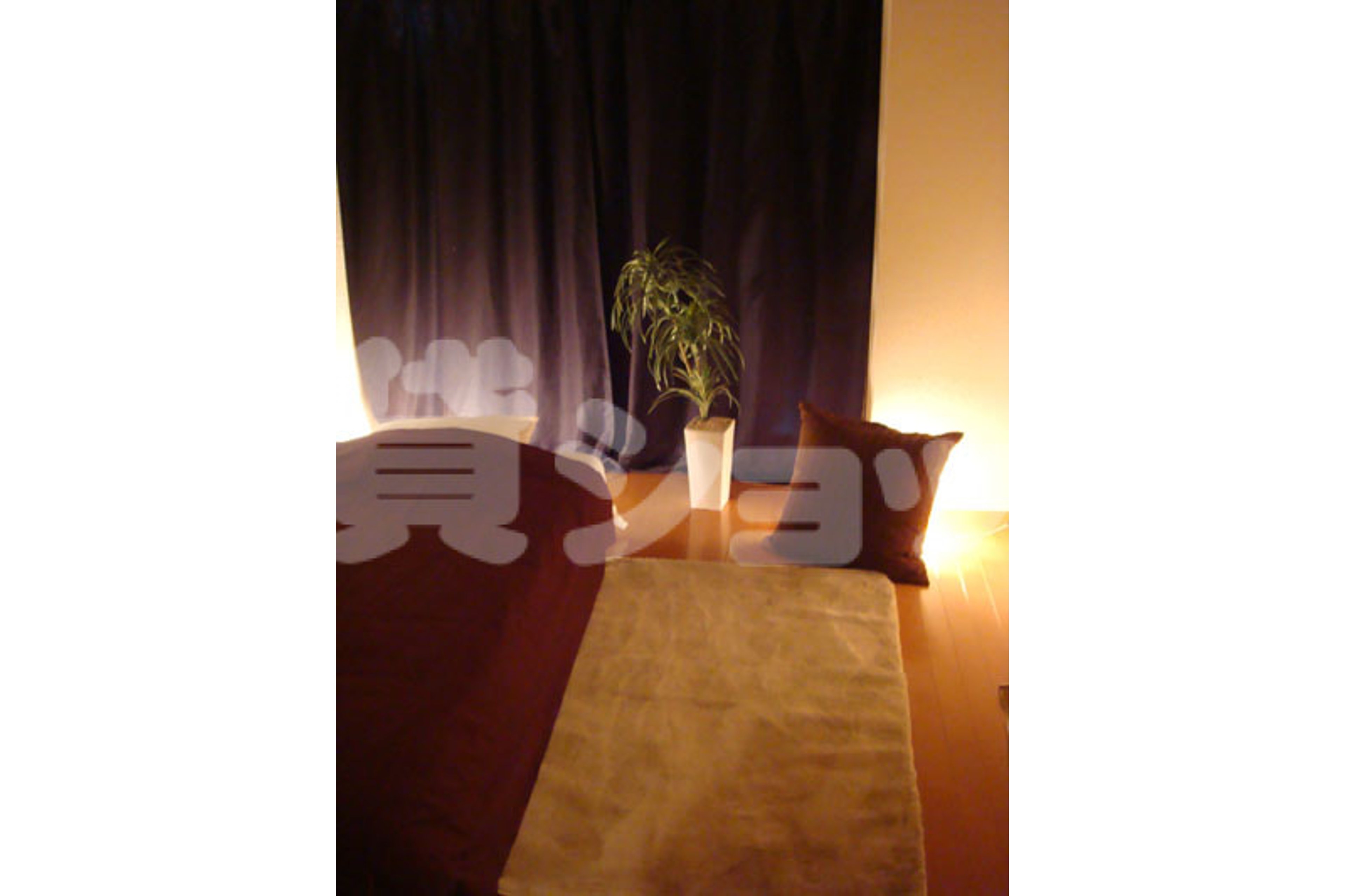 スタンダードタイプのイメージ