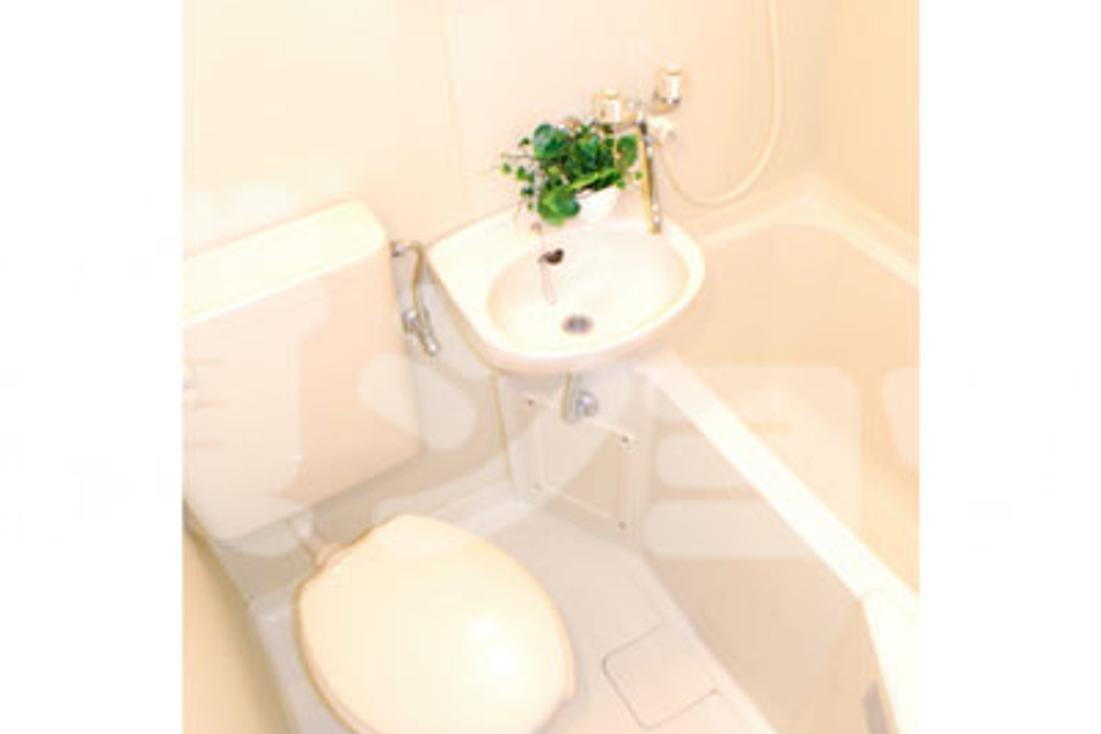 バリュータイプのイメージ