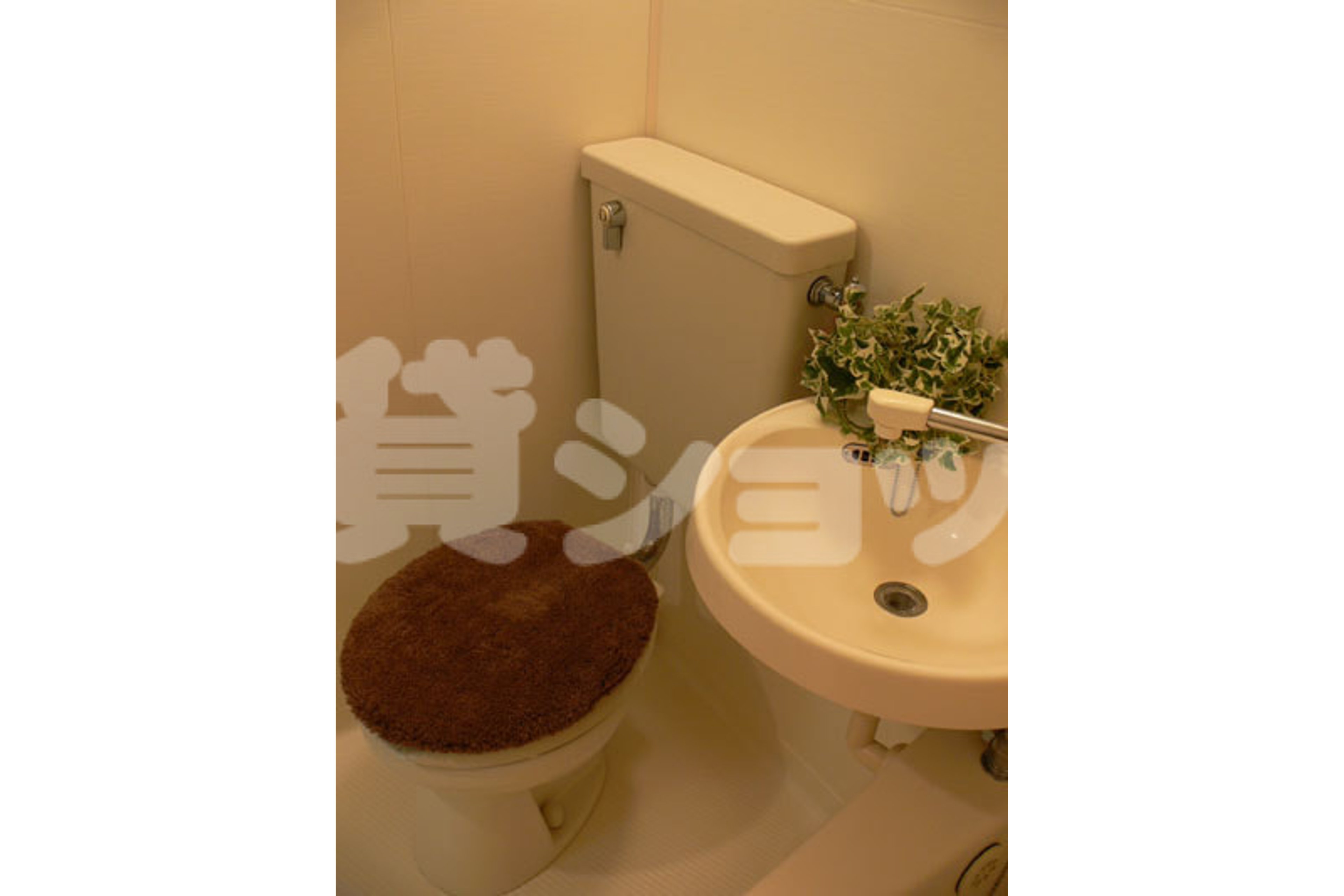 スタンダードタイプのイメージ