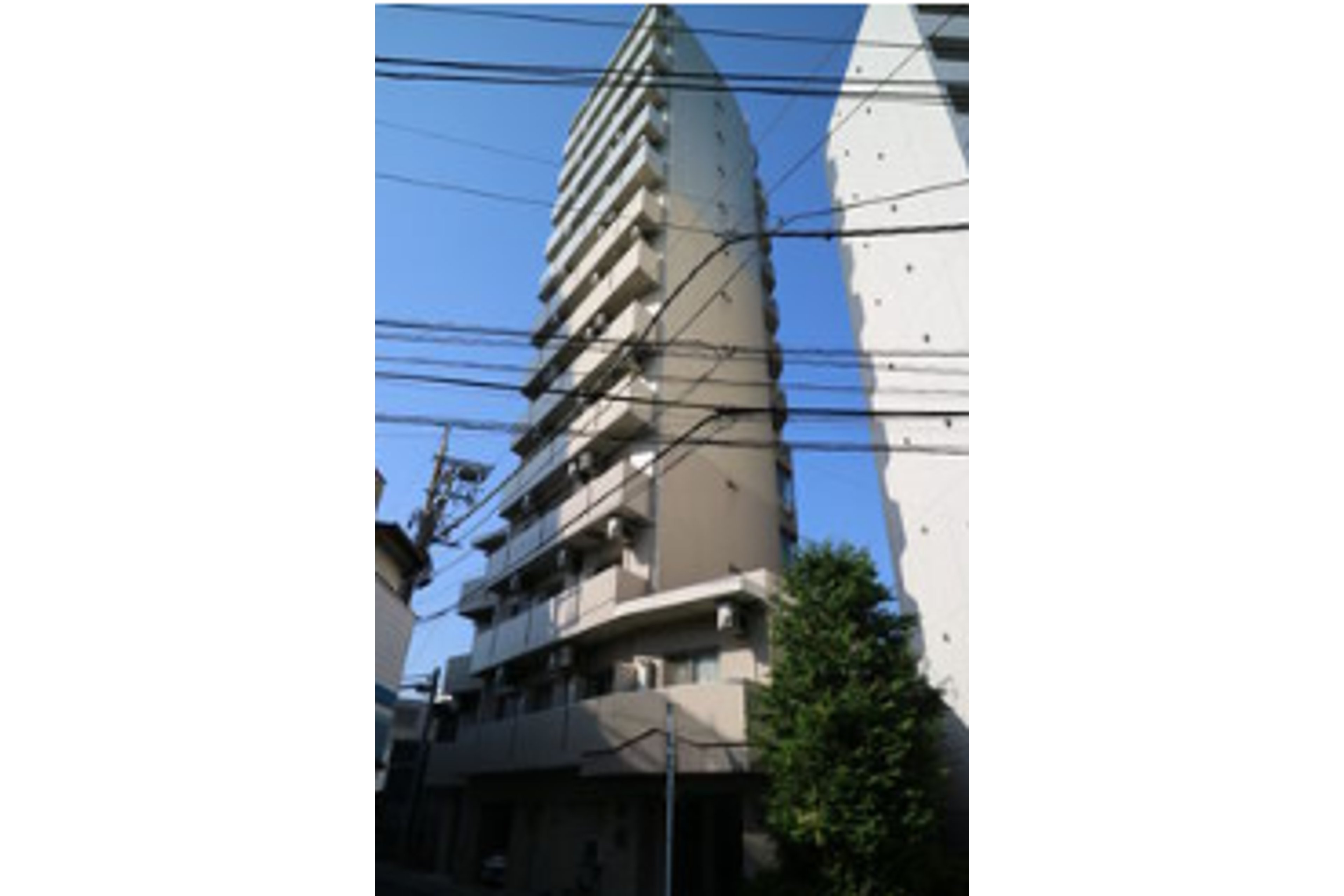 スタンダードタイプのイメージ