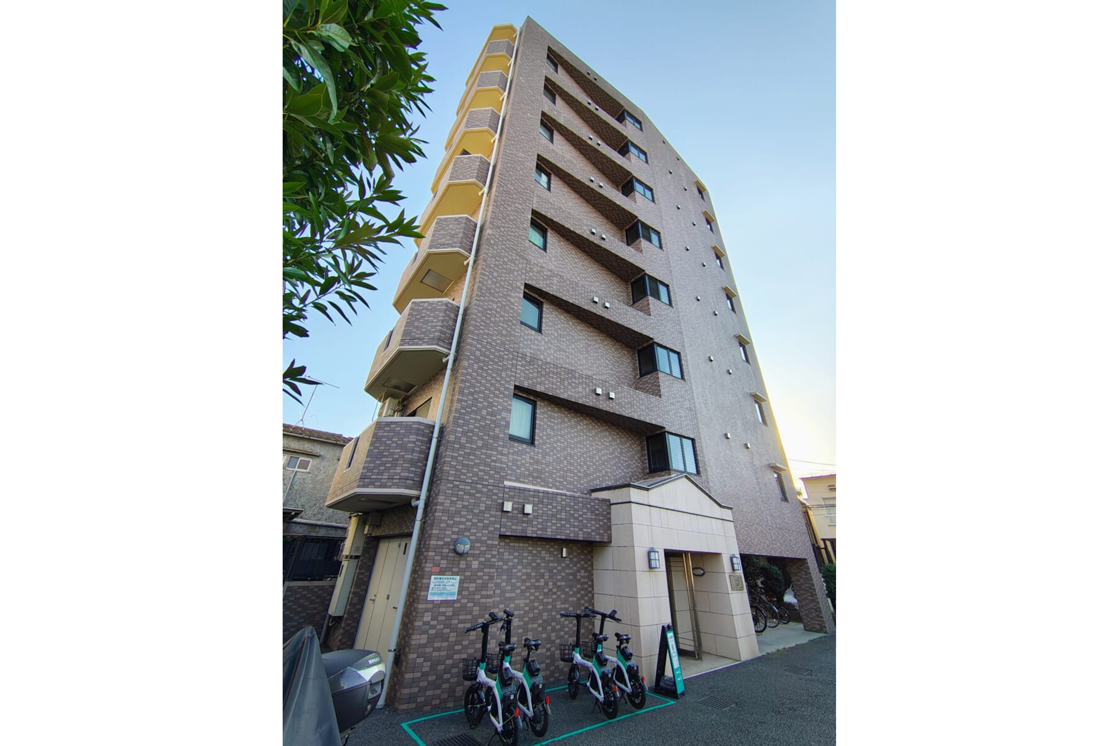 スタンダードタイプのイメージ