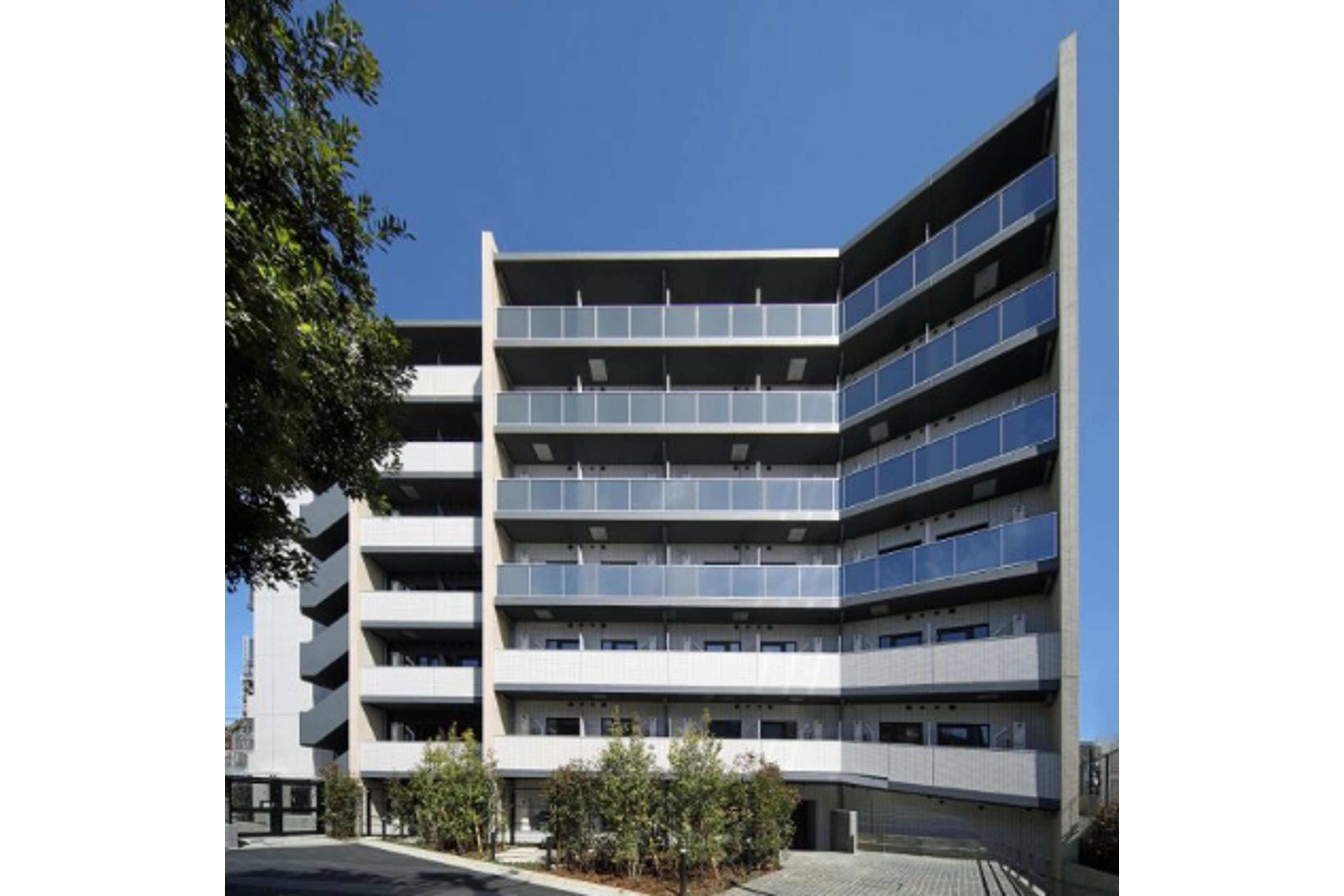 プラチナタイプのイメージ