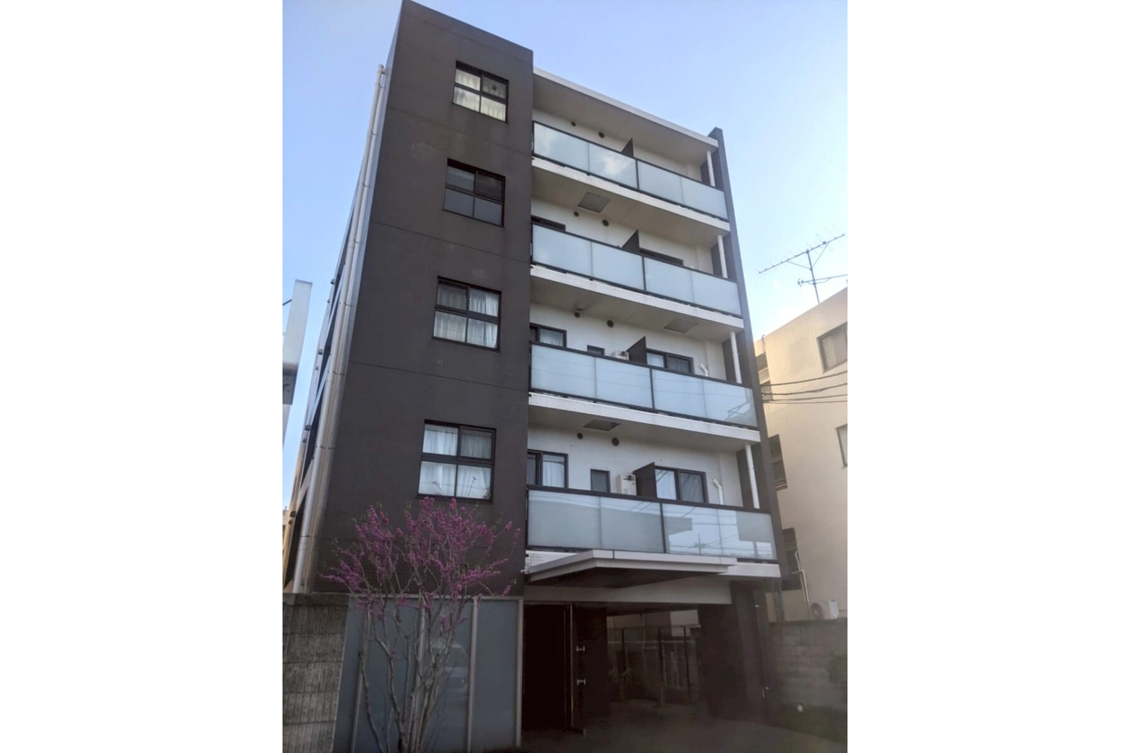 スタンダードタイプのイメージ