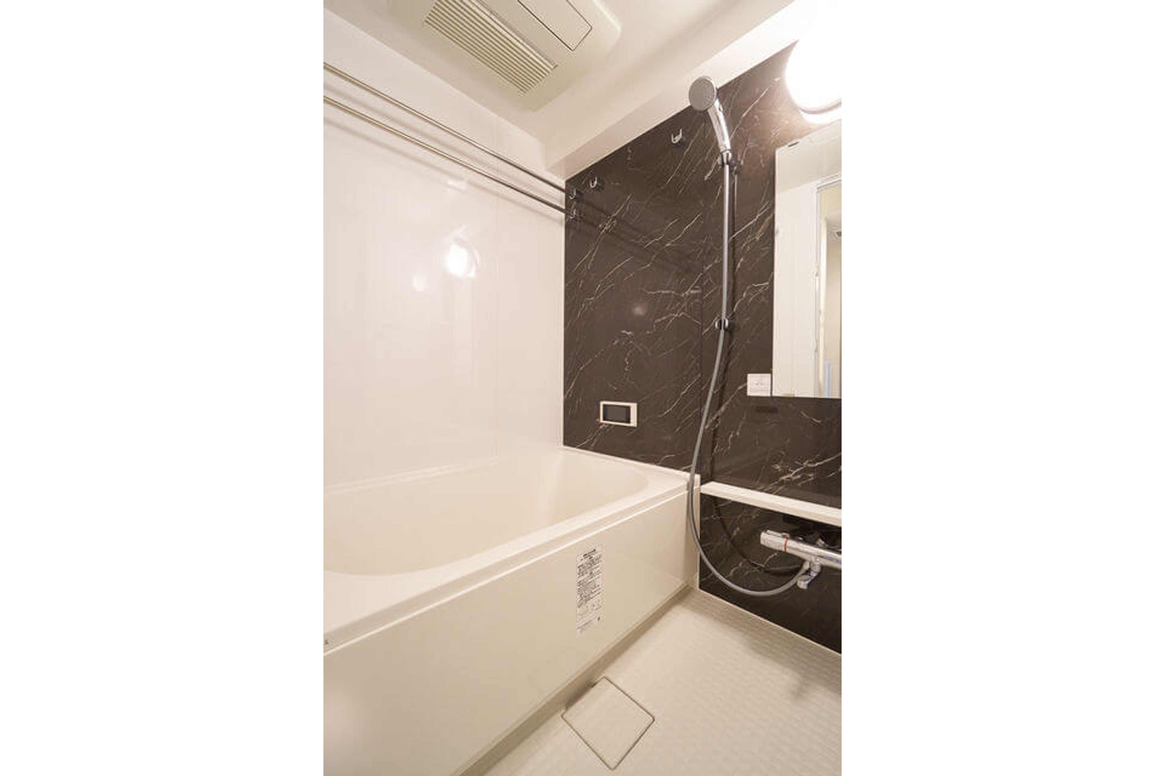 プラチナタイプのイメージ