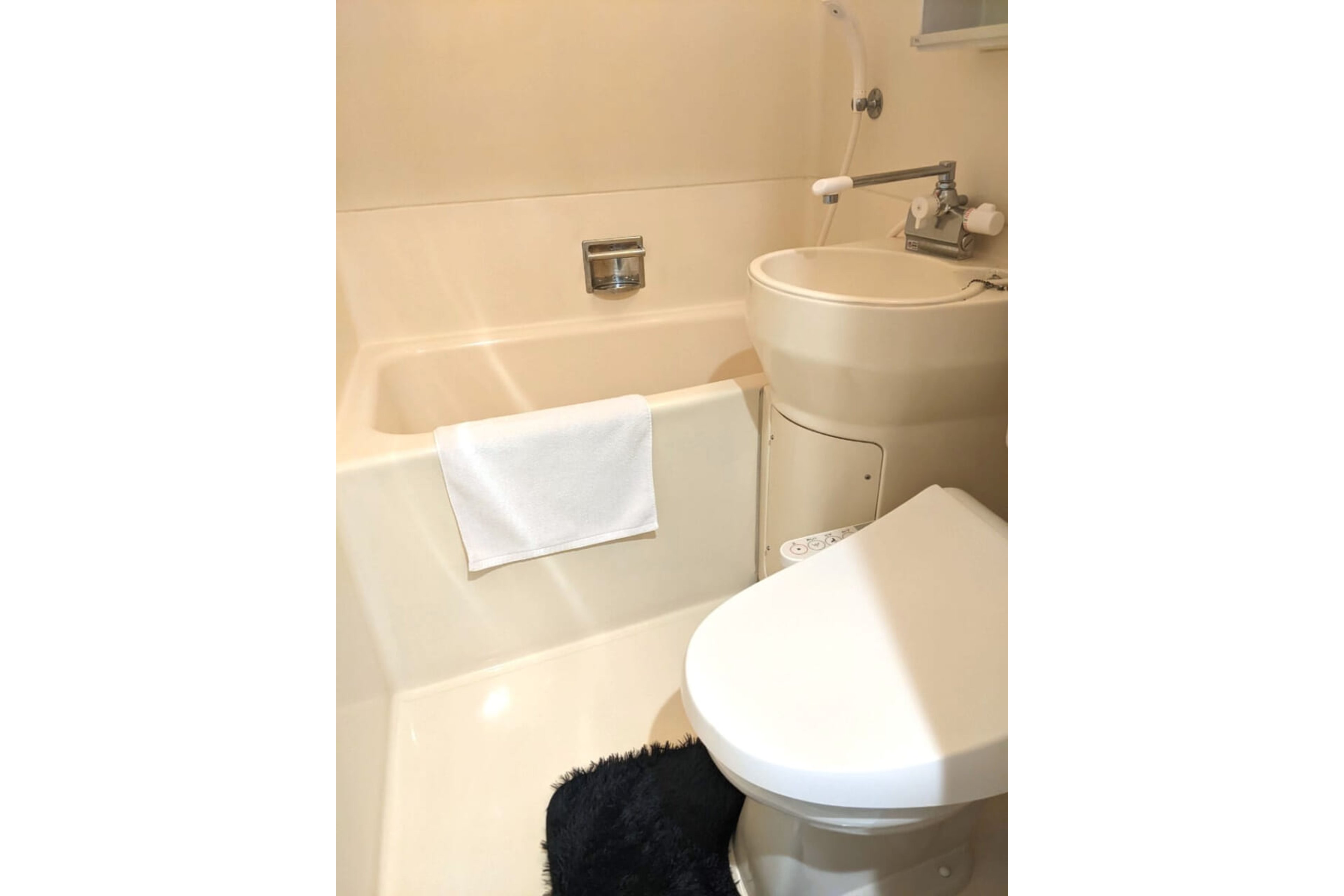 バリュータイプのイメージ