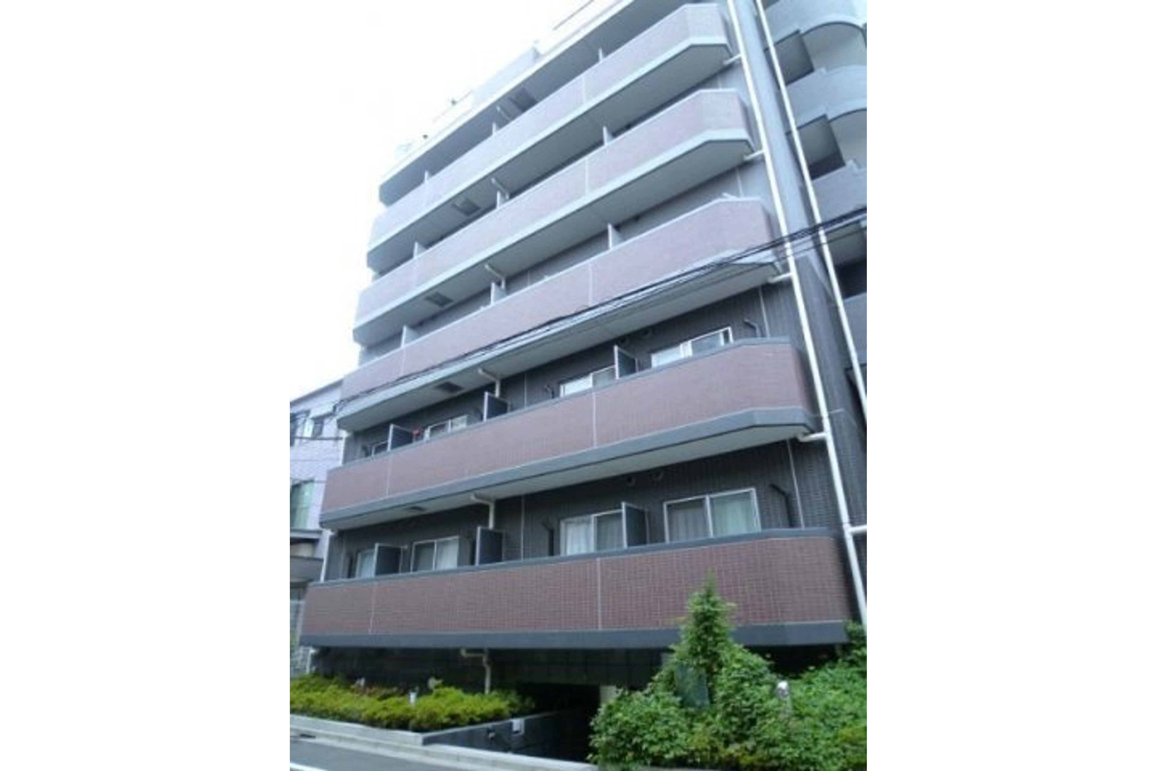 ハイグレードタイプのイメージ