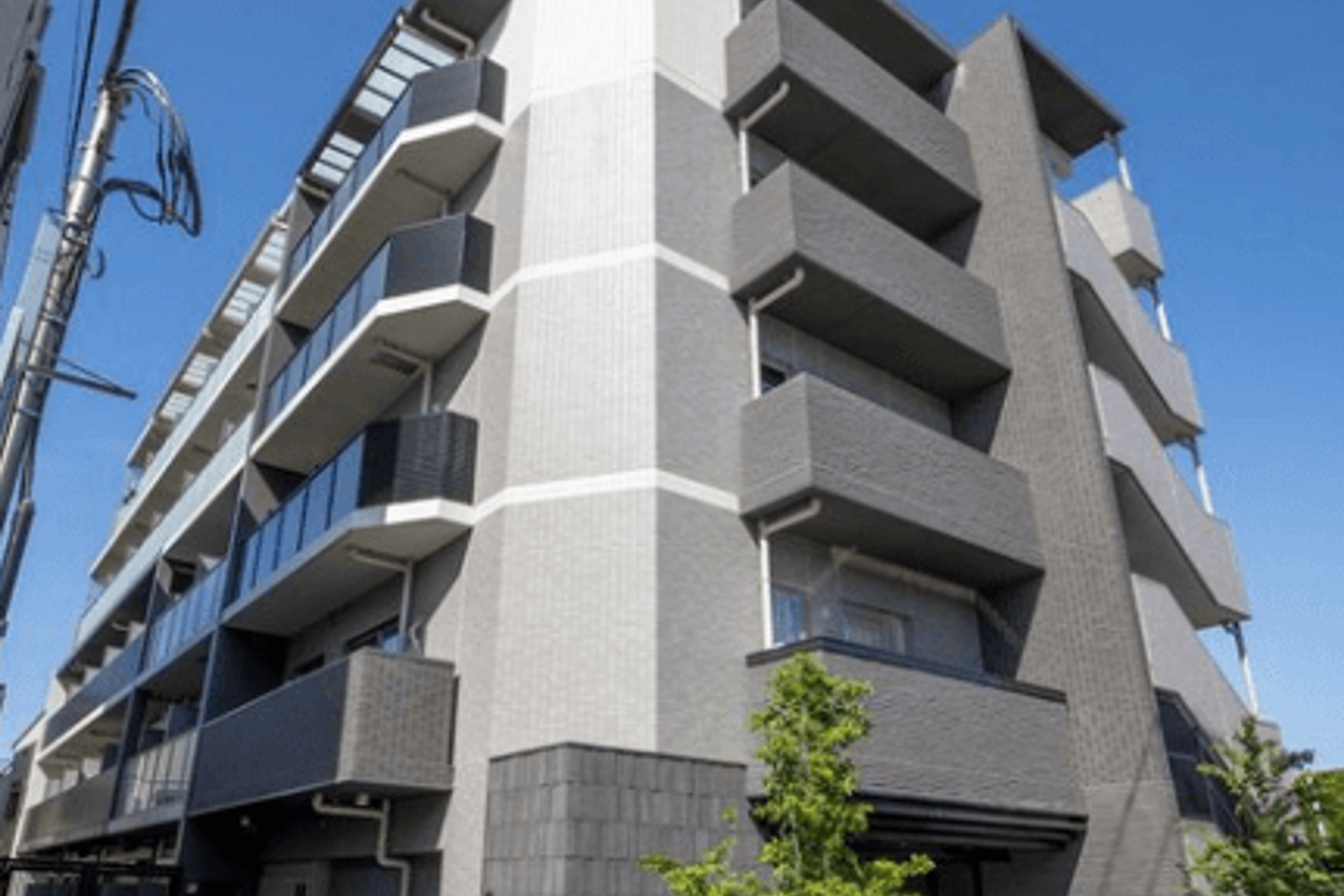 プラチナタイプのイメージ