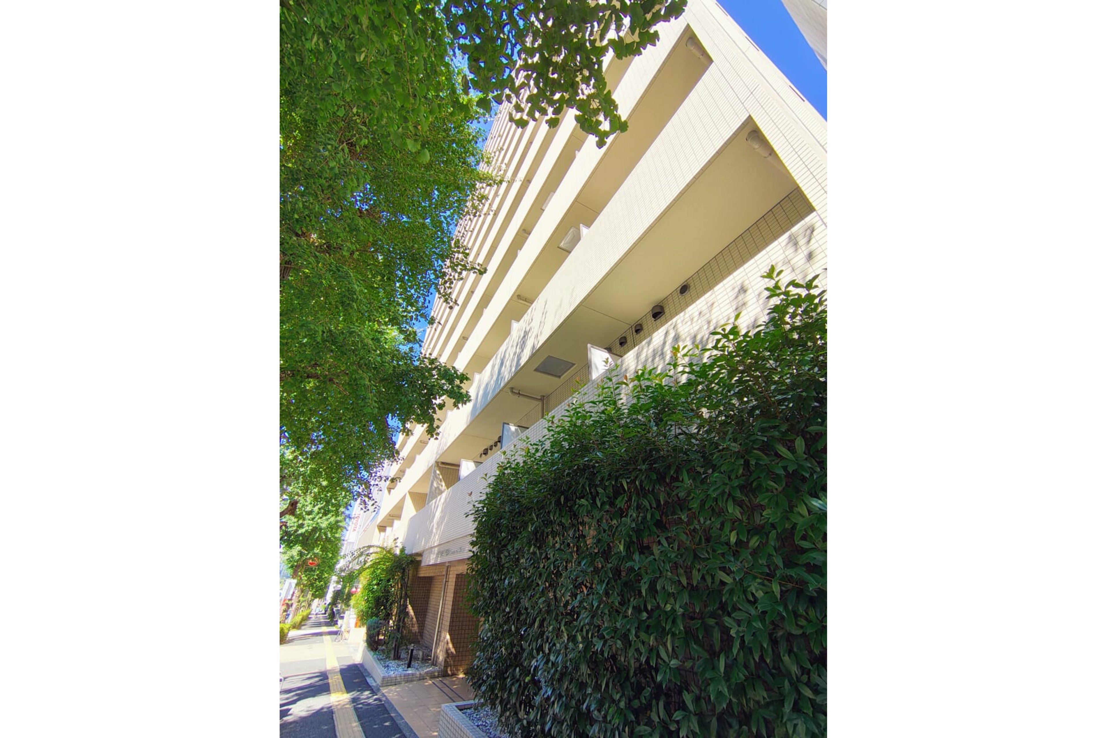 スタンダードタイプのイメージ